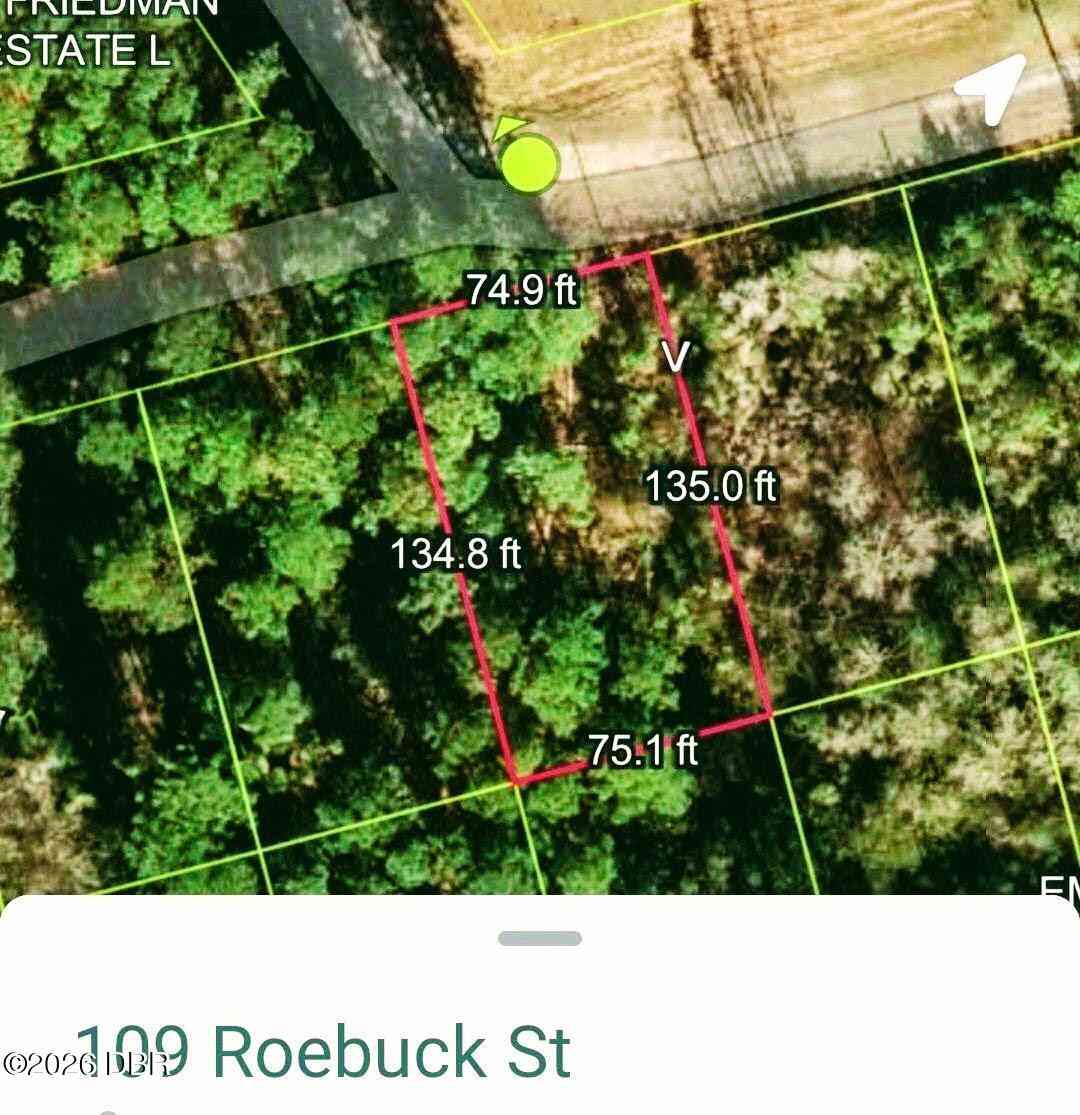 Vacant Land For Sale - 109 Roebuck Road<br/> Georgetown, FL 32139
