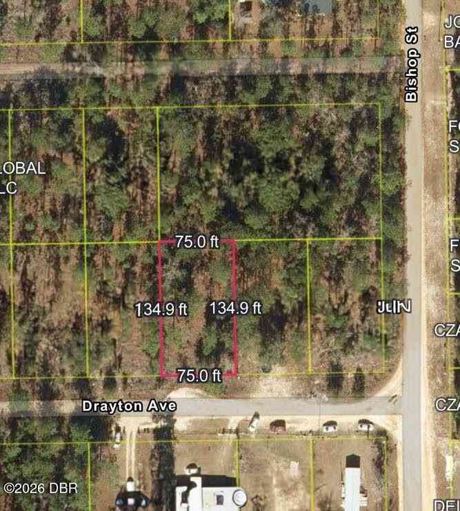Vacant Land For Sale - 000 Drayton Avenue<br/> Putnam County, Interlachen, FL 32148