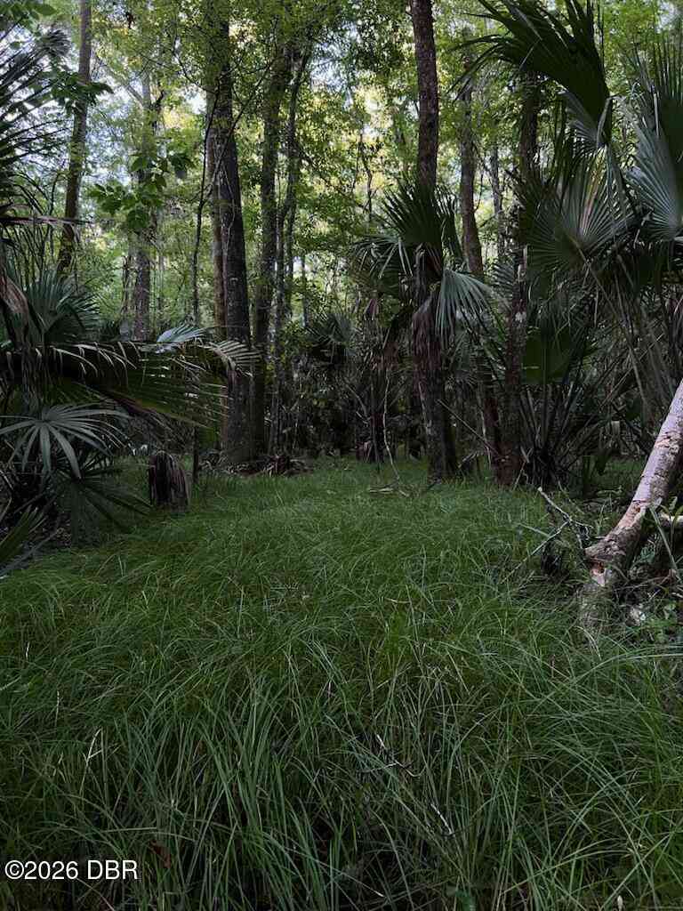 Vacant Land For Sale - 280 Old Bubbly Road<br/> Volusia County, Pierson, FL 32180