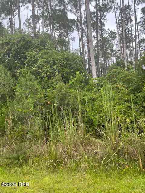 Vacant Land For Sale - 3742 White Spruce Court<br/> Ormond Beach, FL 32174