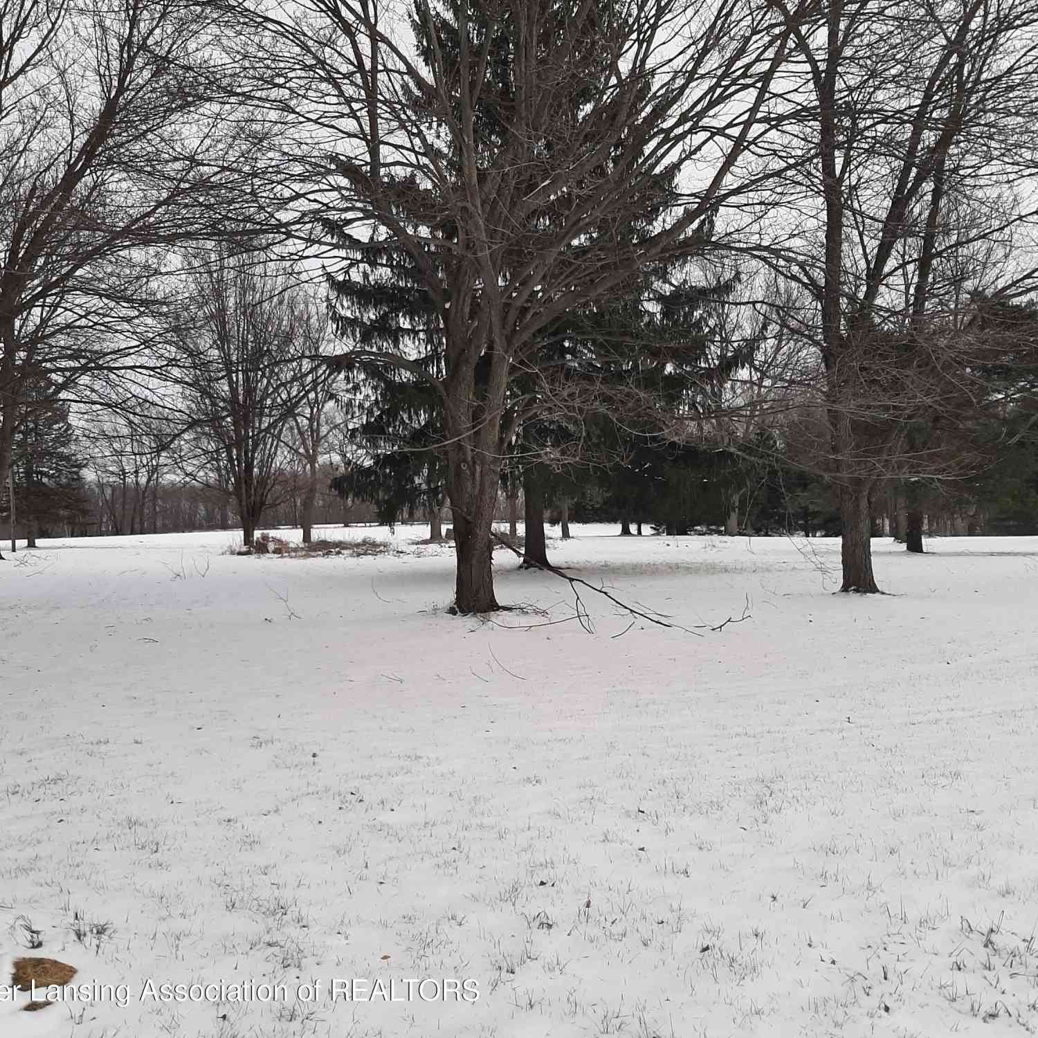 Vacant Land For Sale - M-52<br/> Perry, MI 48872