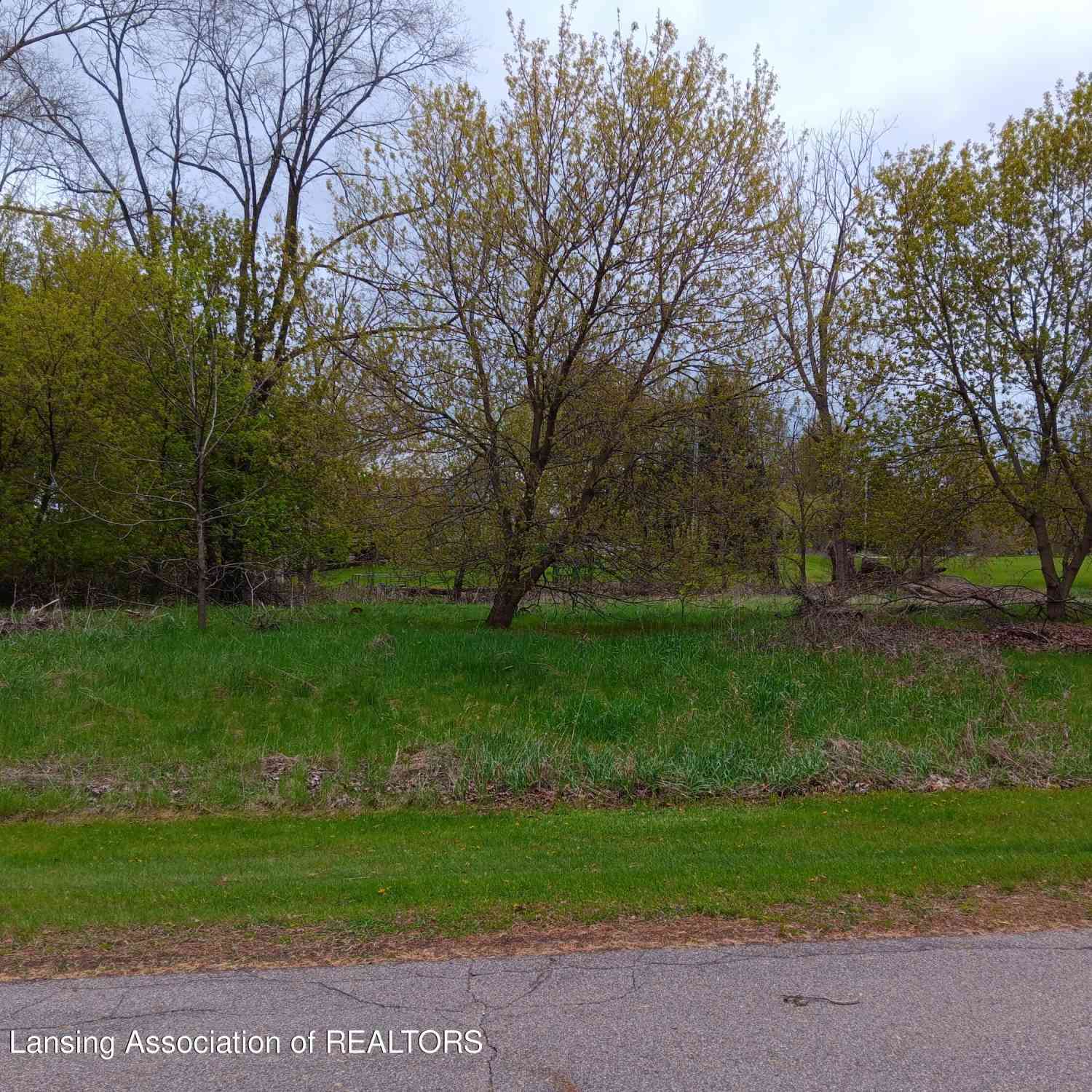 Vacant Land For Sale - 00 W Riverview Drive<br/> Perry, MI 48872
