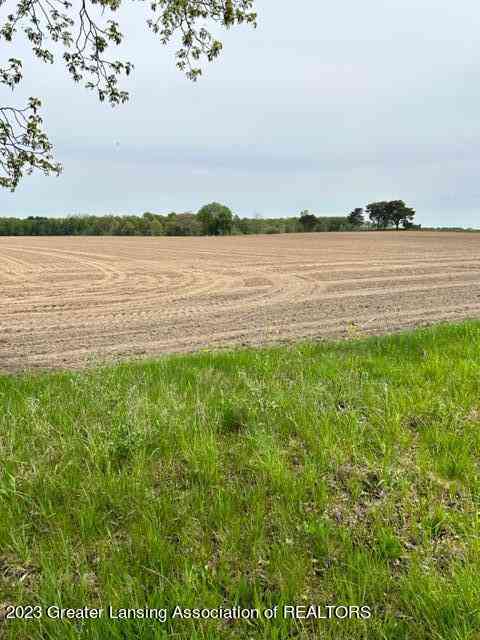 Vacant Land For Sale - Covert Road<br/> Leslie, MI 49251