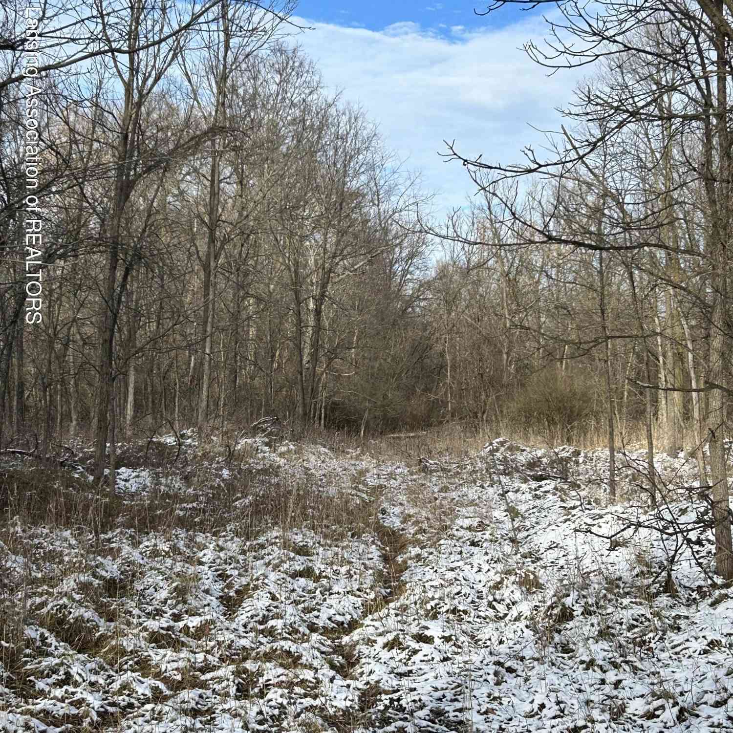 Vacant Land For Sale - 429 Sumpter Street<br/> Charlotte, MI 48813