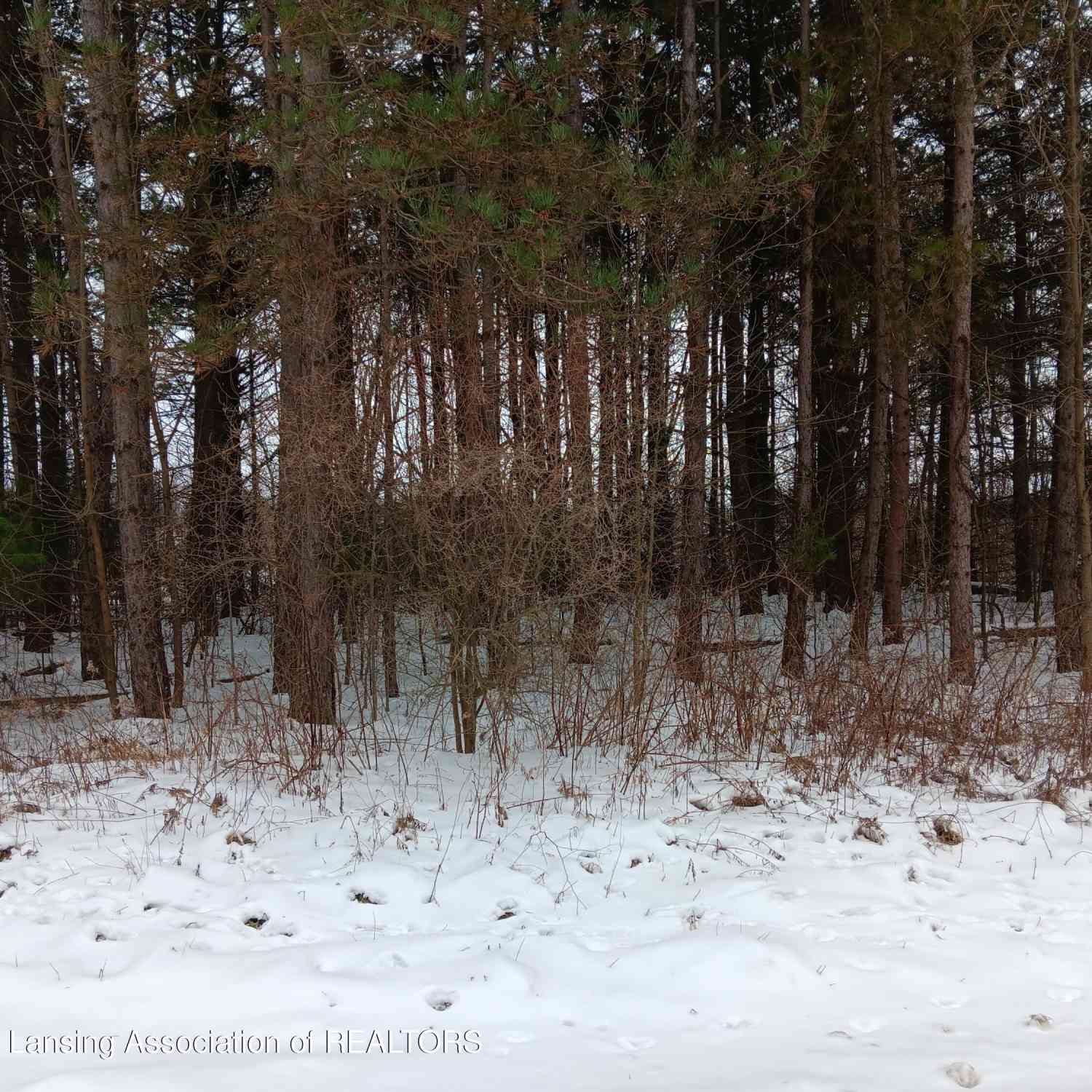 Vacant Land For Sale - 4 Blue Water Way<br/> Perry, MI 48872