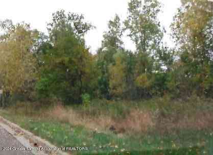 Vacant Land For Sale - V/L W South (1.6) Acres Street<br/> Owosso, MI 48867