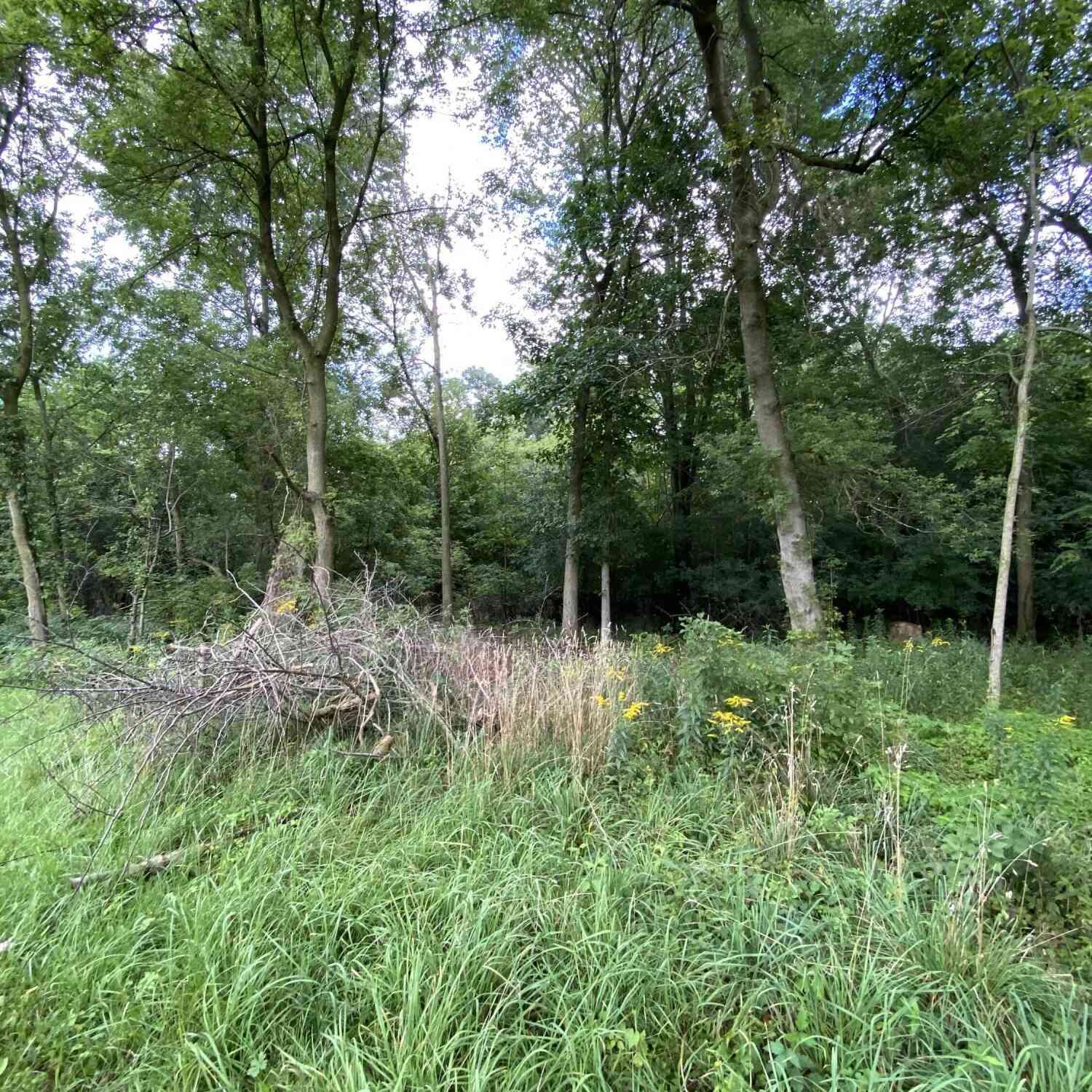 Vacant Land For Sale - V/L Short Street<br/> Owosso, MI 48867