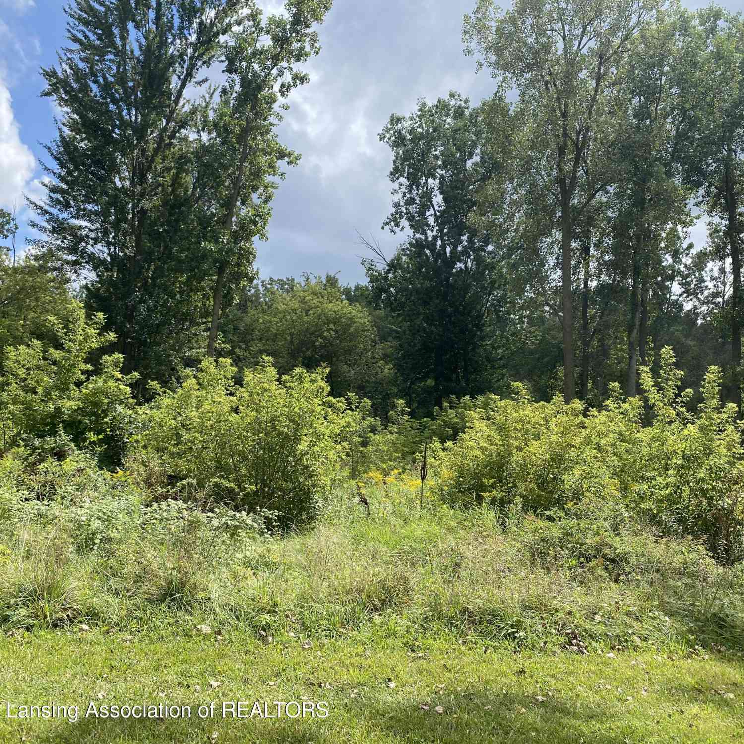 Vacant Land For Sale - V/L W South Street<br/> Owosso, MI 48867