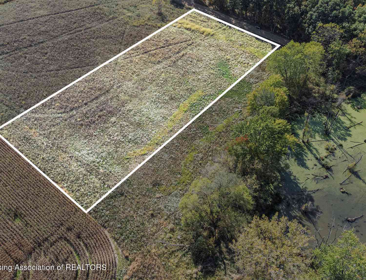 Vacant Land For Sale - Laingsburg Road<br/> Laingsburg, MI 48848