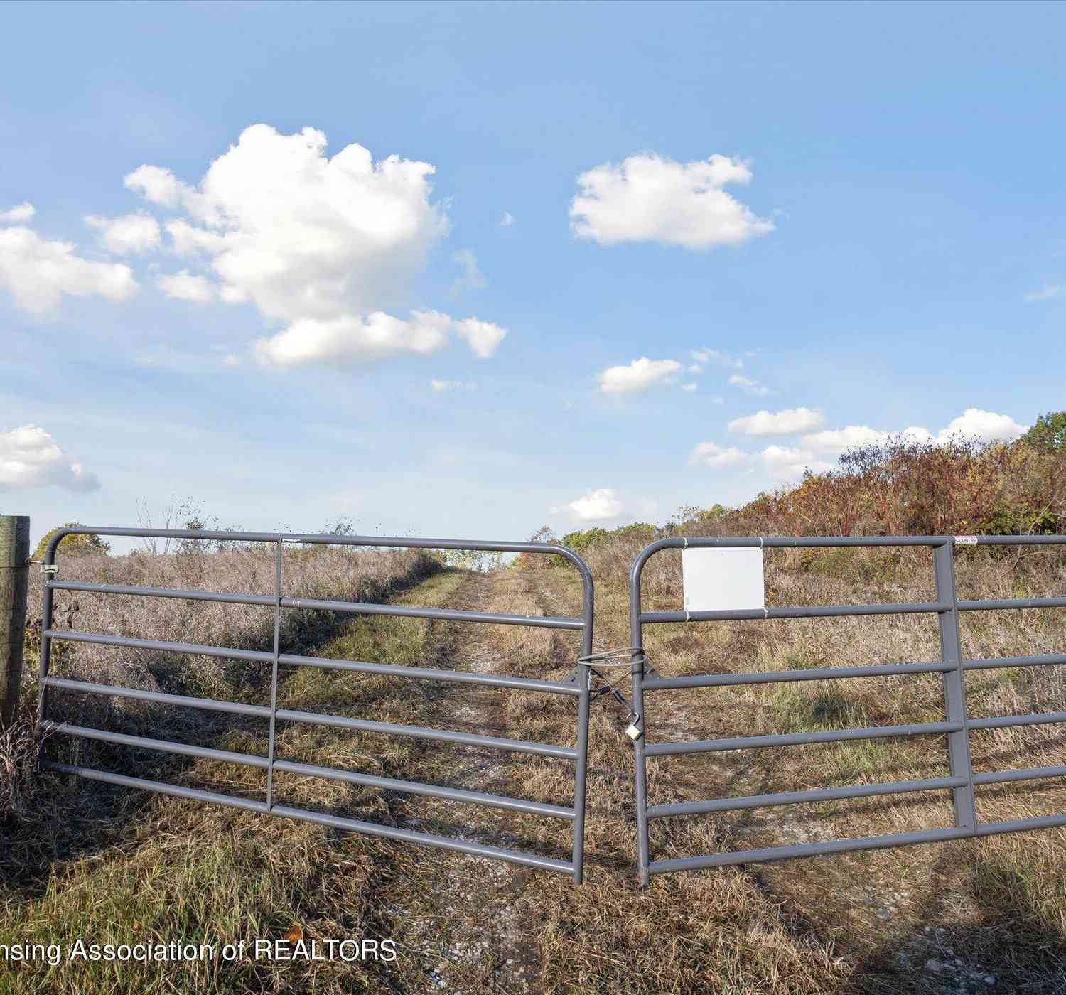 Vacant Land For Sale - 9536 Sand Road<br/> Bellevue, MI 49021