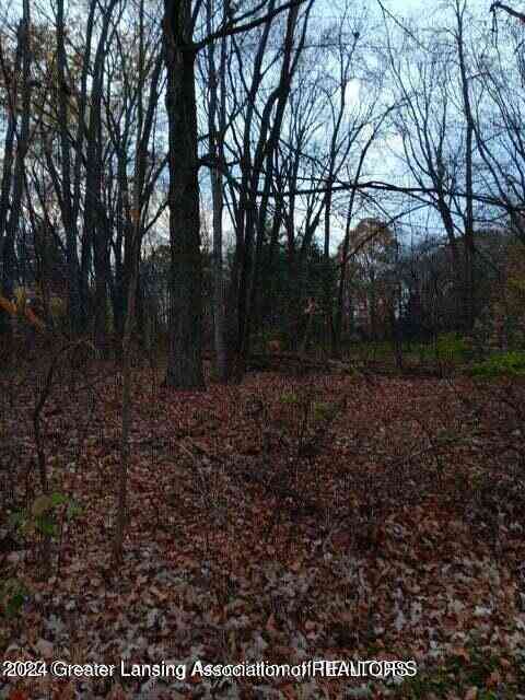 Vacant Land For Sale - Beechwood Drive<br/> Williamston, MI 48895