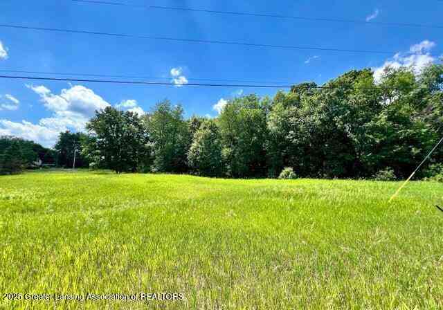 Vacant Land For Sale - V/L S Shepardsville Road<br/> Laingsburg, MI 48848