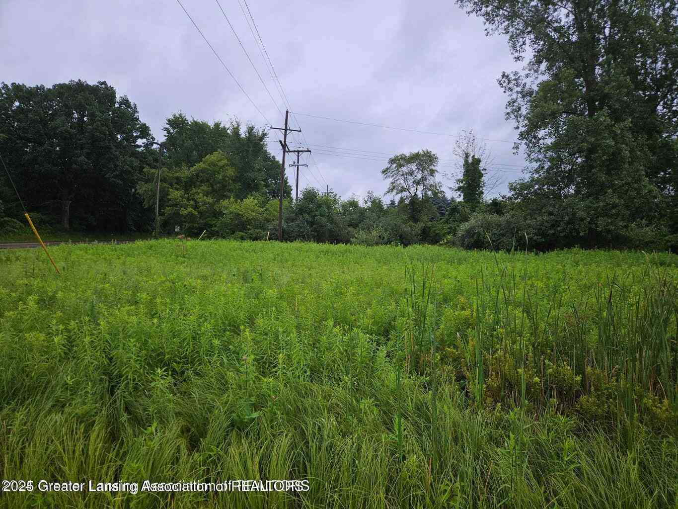 Vacant Land For Sale - 5494 N Williamston Road<br/> Williamston, MI 48895