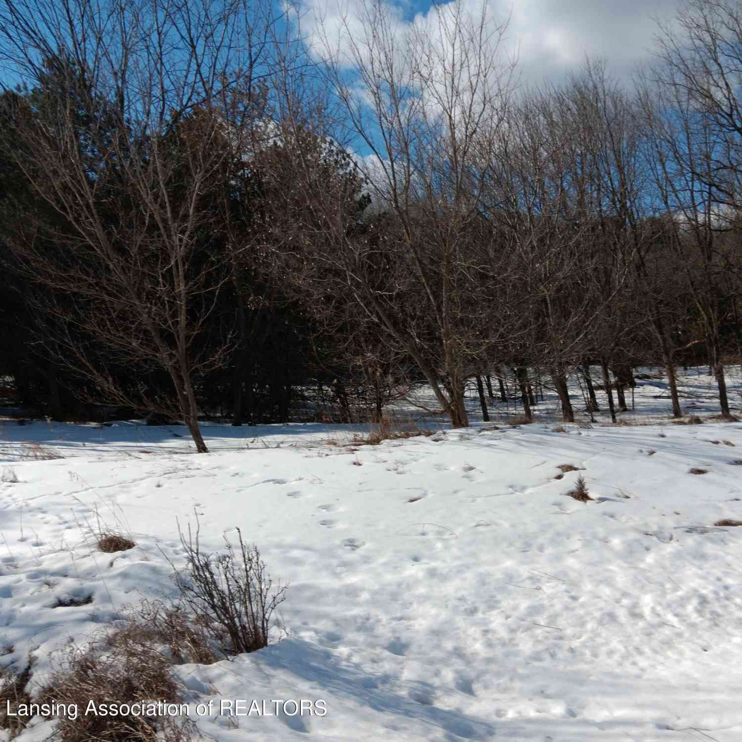 Vacant Land For Sale - 54 Bennington Greens<br/> Owosso, MI 48867
