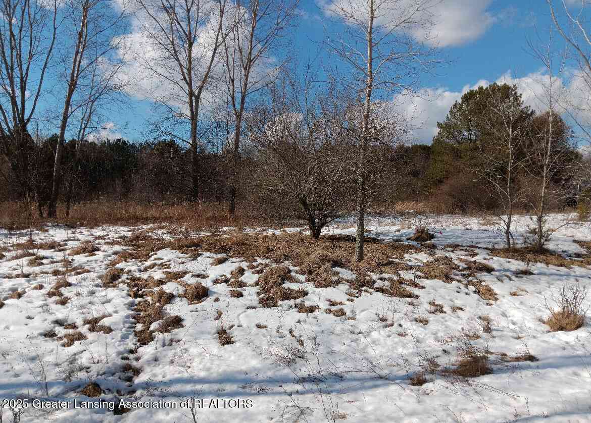 Vacant Land For Sale - 38 Bennington Greens<br/> Owosso, MI 48867