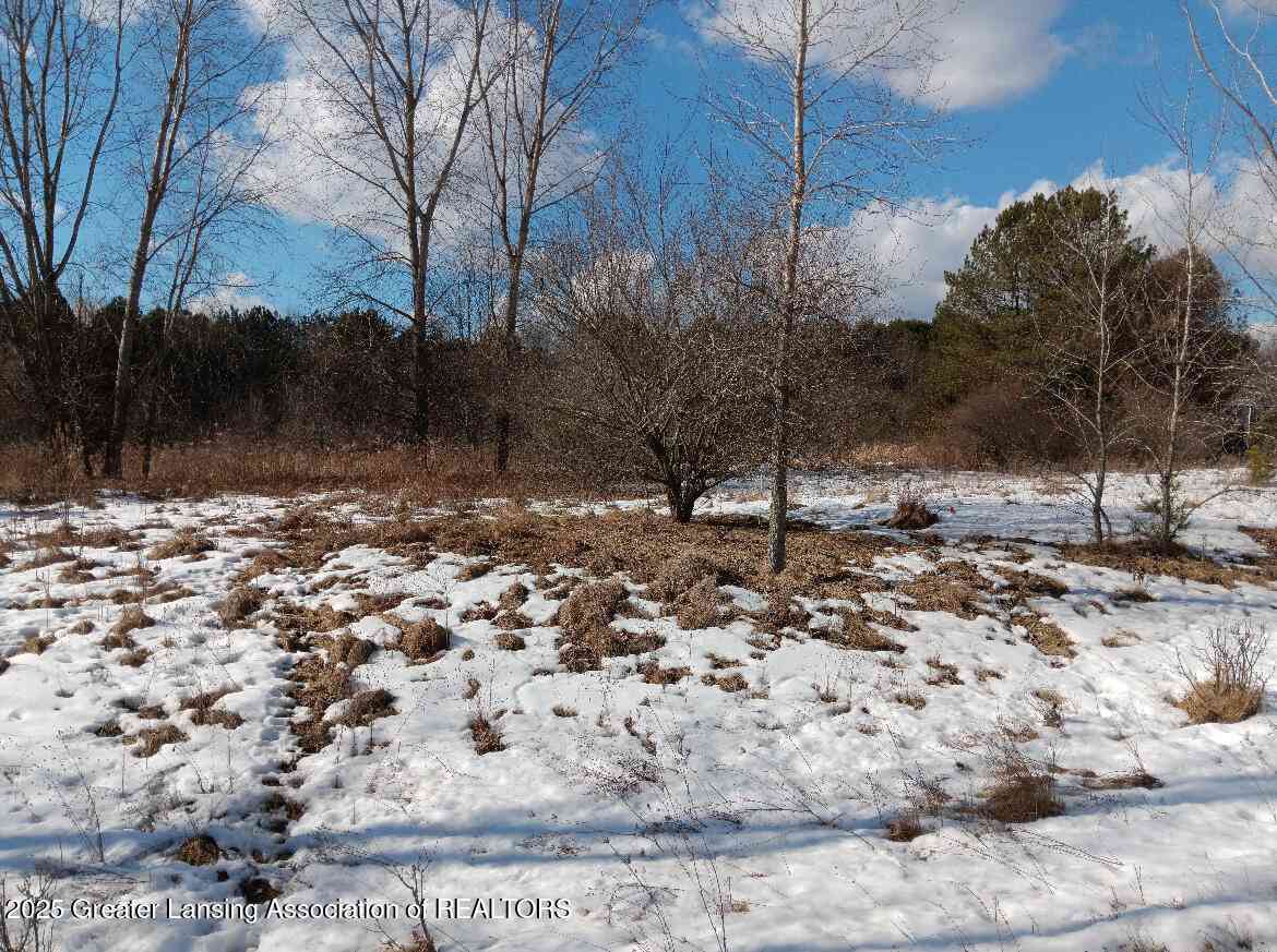 Vacant Land For Sale - 8 Bennington Greens<br/> Owosso, MI 48867