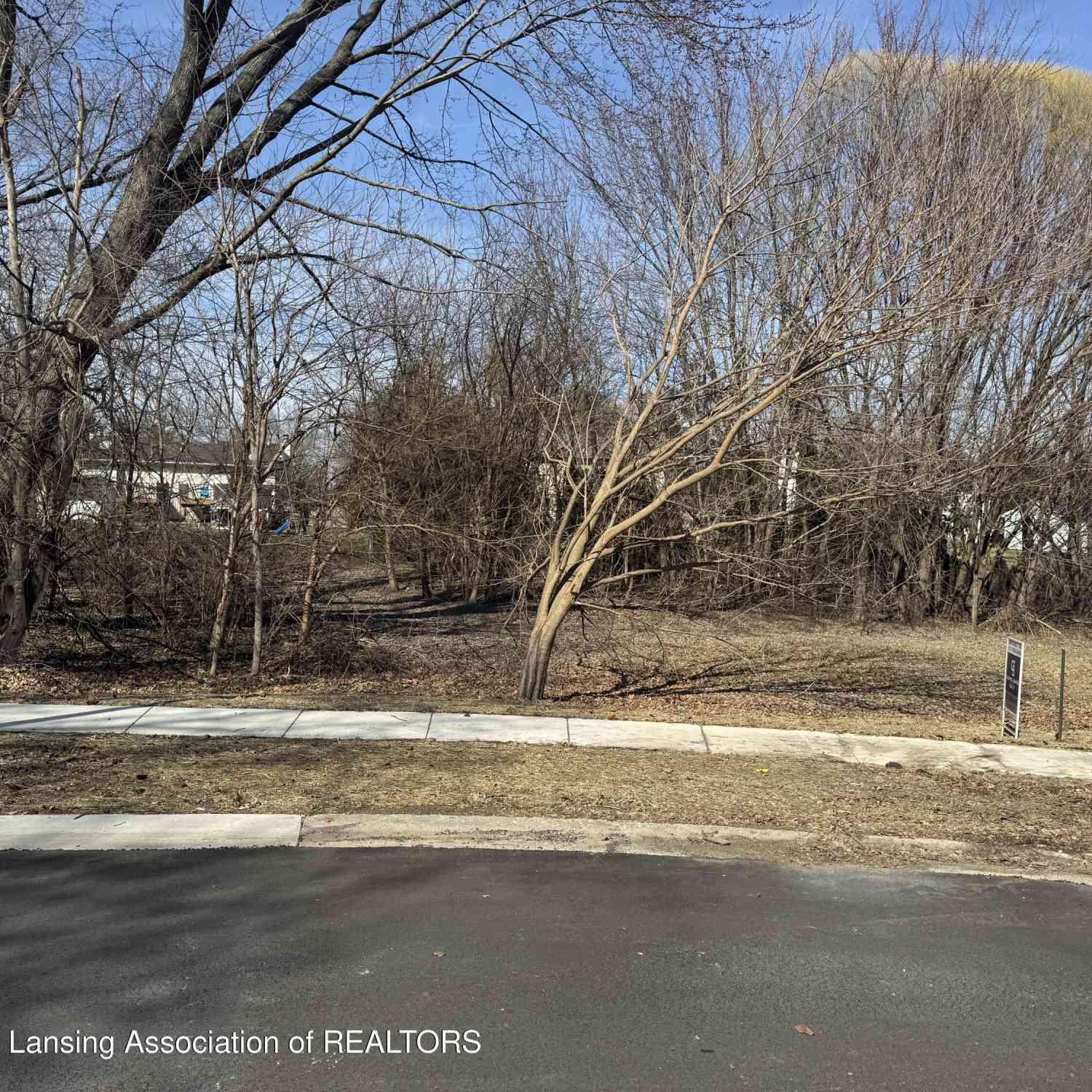 Vacant Land For Sale - 501 Middlebury<br/> Mason, MI 48854