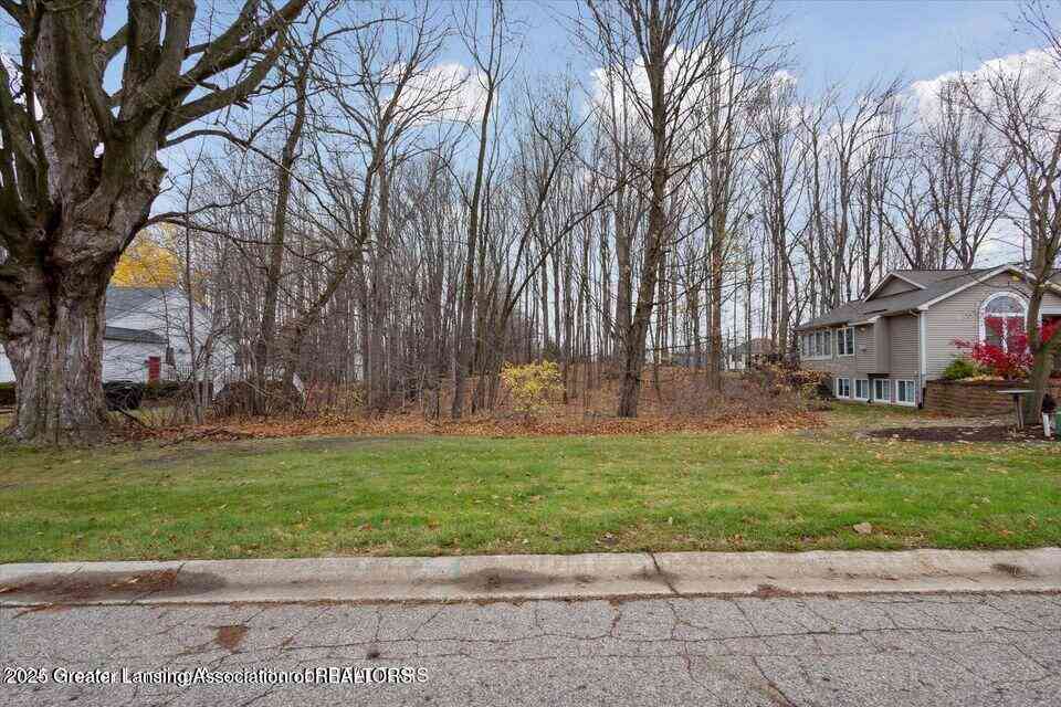 Vacant Land For Sale - 3860 Knotwood Drive<br/> Holt, MI 48842