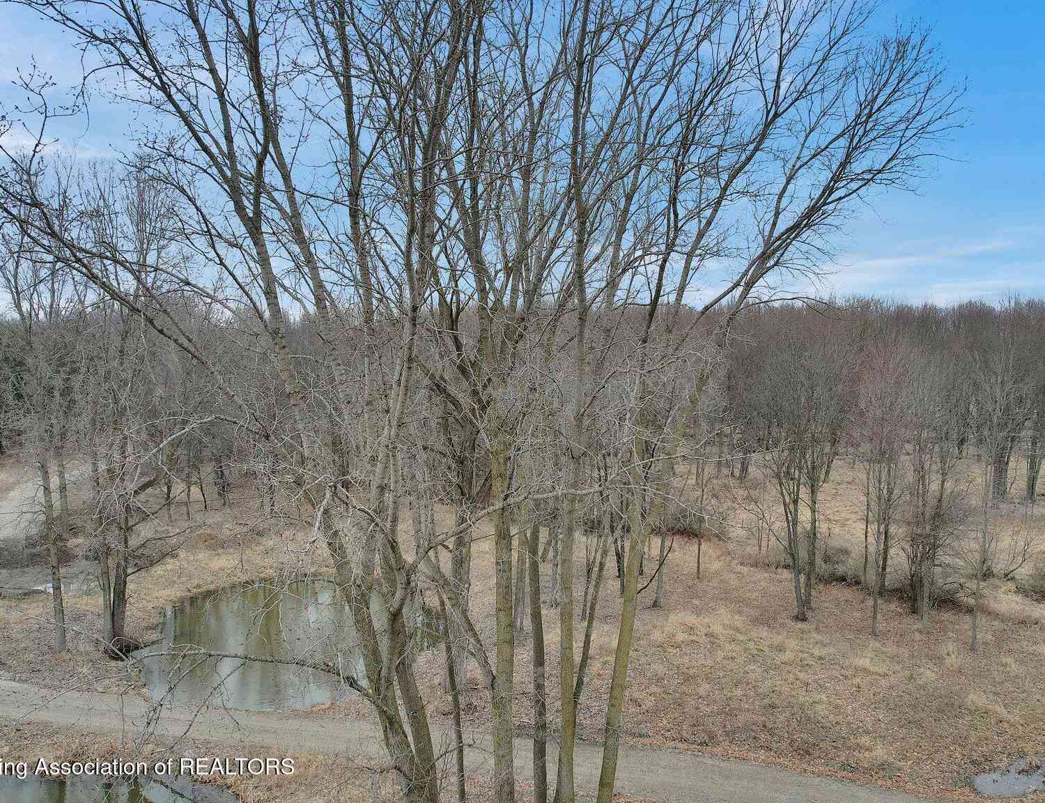 Vacant Land For Sale - 1380 Harper Road<br/> Mason, MI 48854