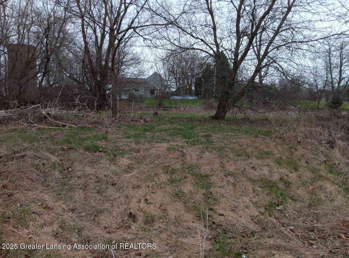 Vacant Land For Sale - 7697 Riverview Drive<br/> Owosso, MI 48867