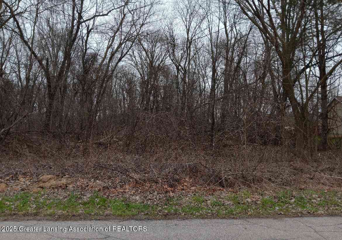 Vacant Land For Sale - 3062 Innsbrook<br/> Owosso, MI 48867