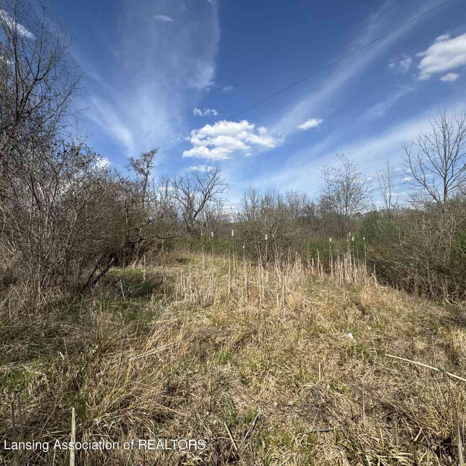 Vacant Land For Sale - S Bradley Road<br/> Charlotte, MI 48813