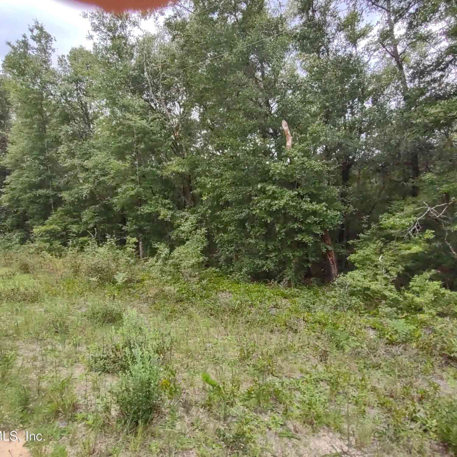 Vacant Land For Sale - 24 Neilsen Avenue<br/> Interlachen, FL 32148