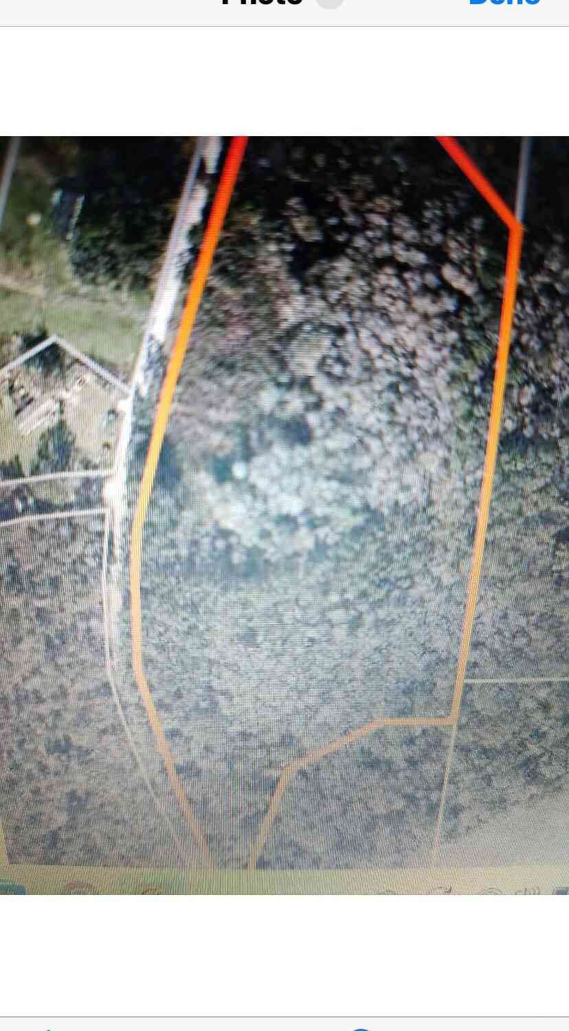 Vacant Land For Sale - Richardson Road<br/> Baker County, Glen St. Mary, FL 32040
