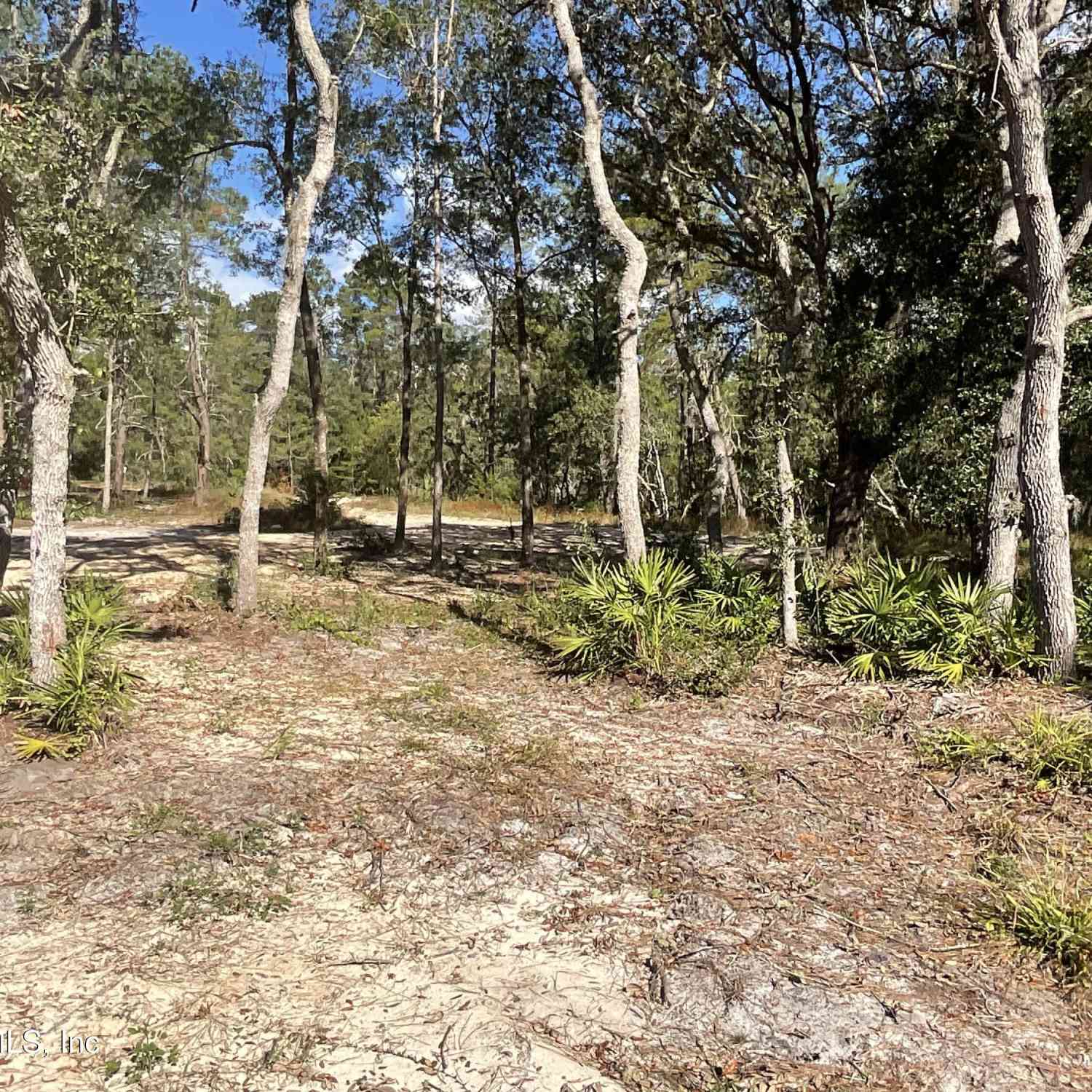 Vacant Land For Sale - 101 New Jersey Street<br/> Satsuma, FL 32189