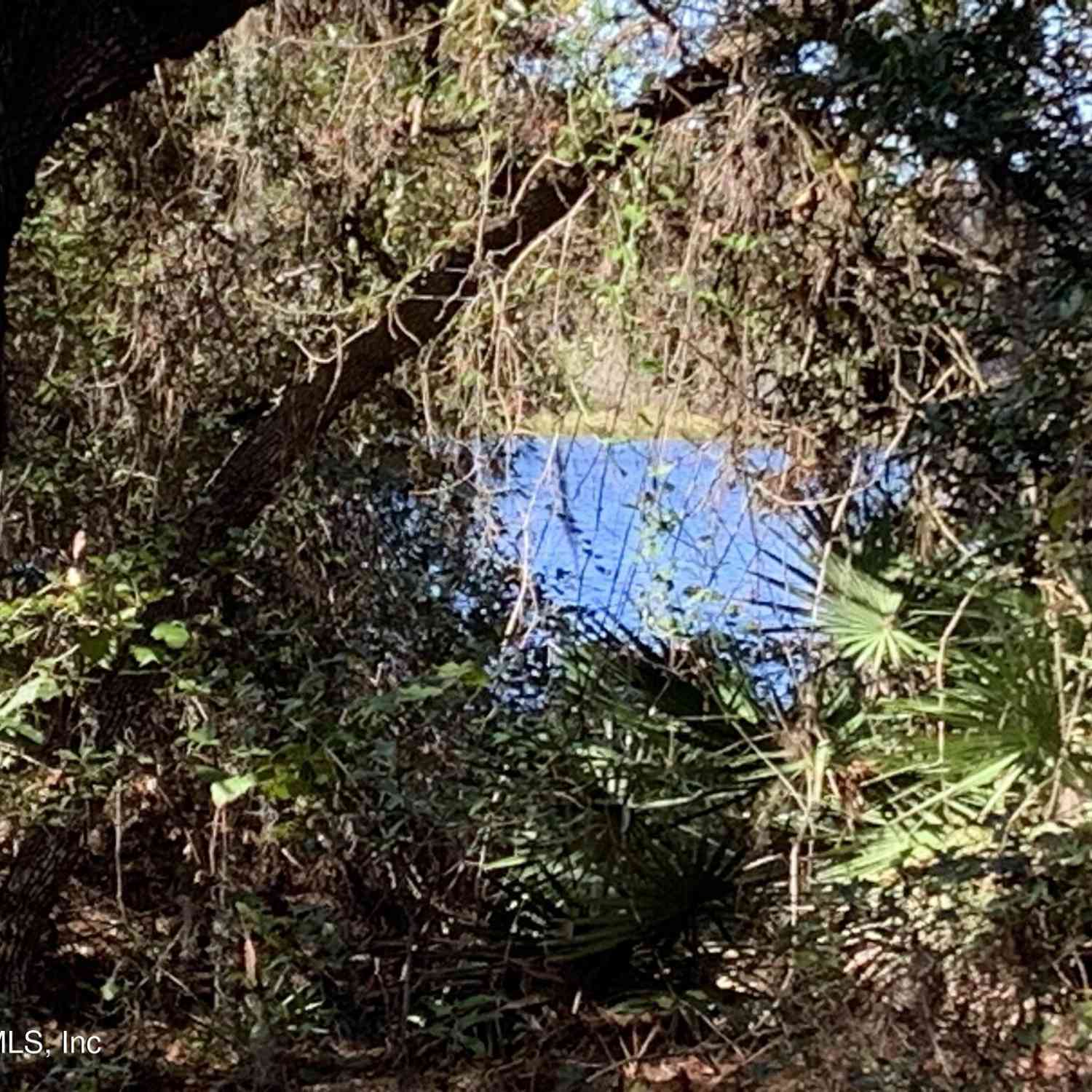 Vacant Land For Sale - 105 Palmer Drive<br/> Interlachen, FL 32148