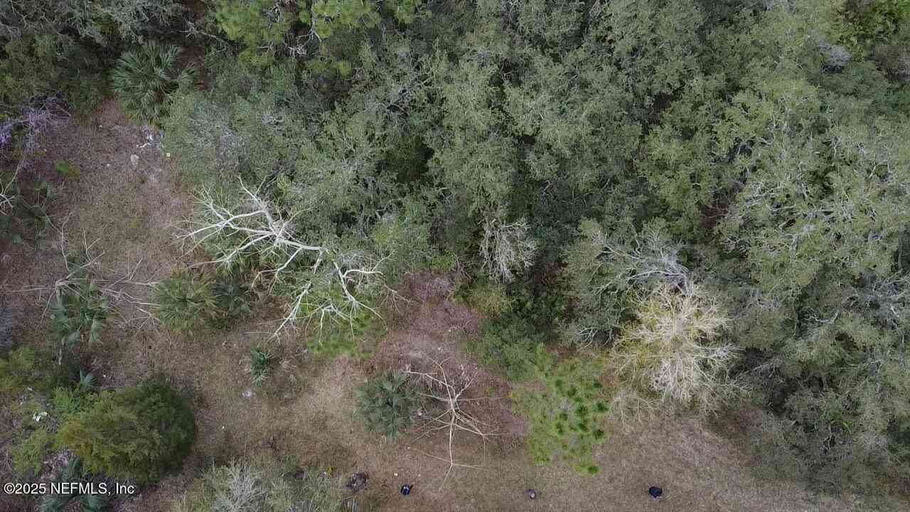 Vacant Land For Sale - 1252 Old Highway 17<br/> Crescent City, FL 32112
