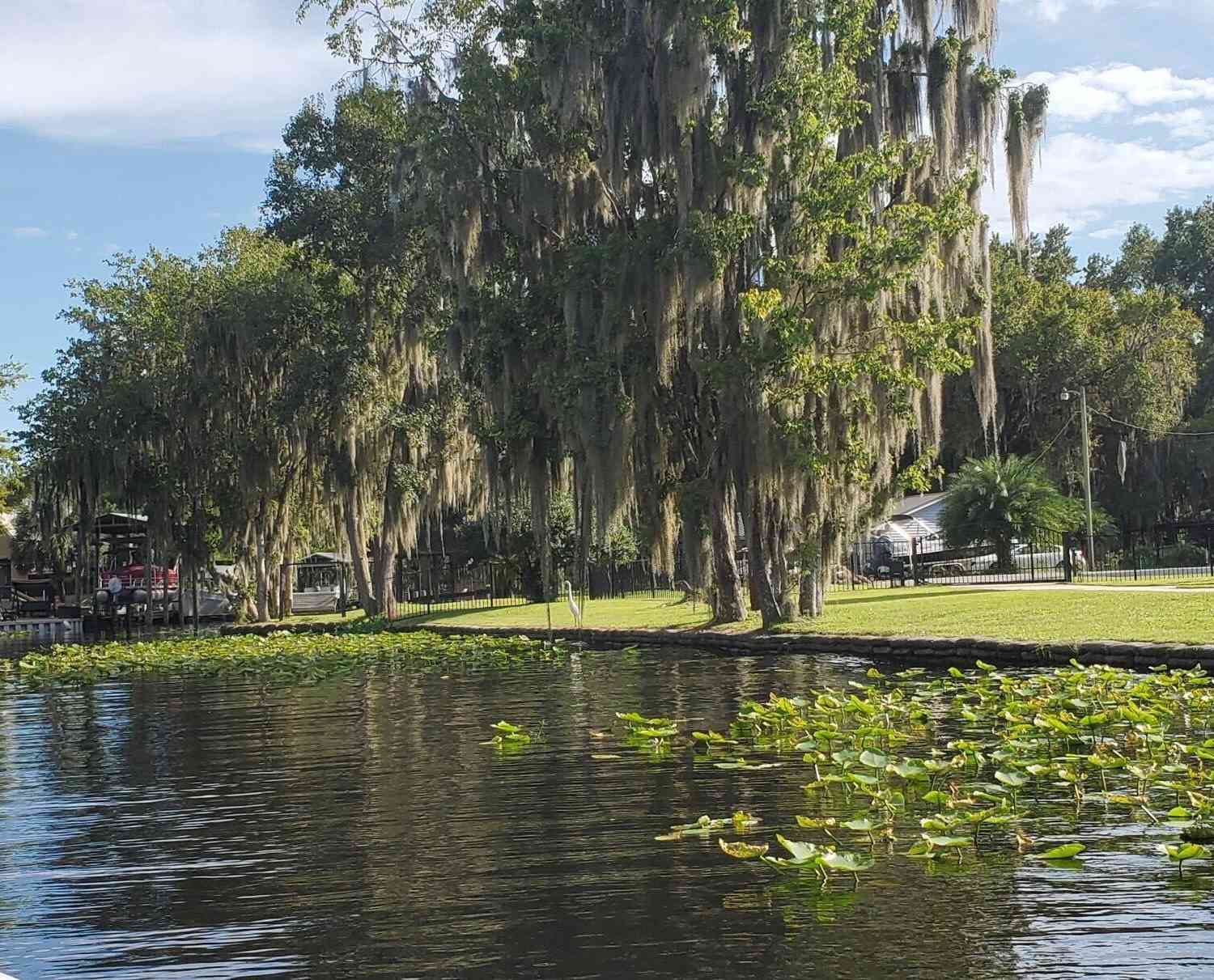 Vacant Land For Sale - 117 Park Drive<br/> Putnam County, Satsuma, FL 32189