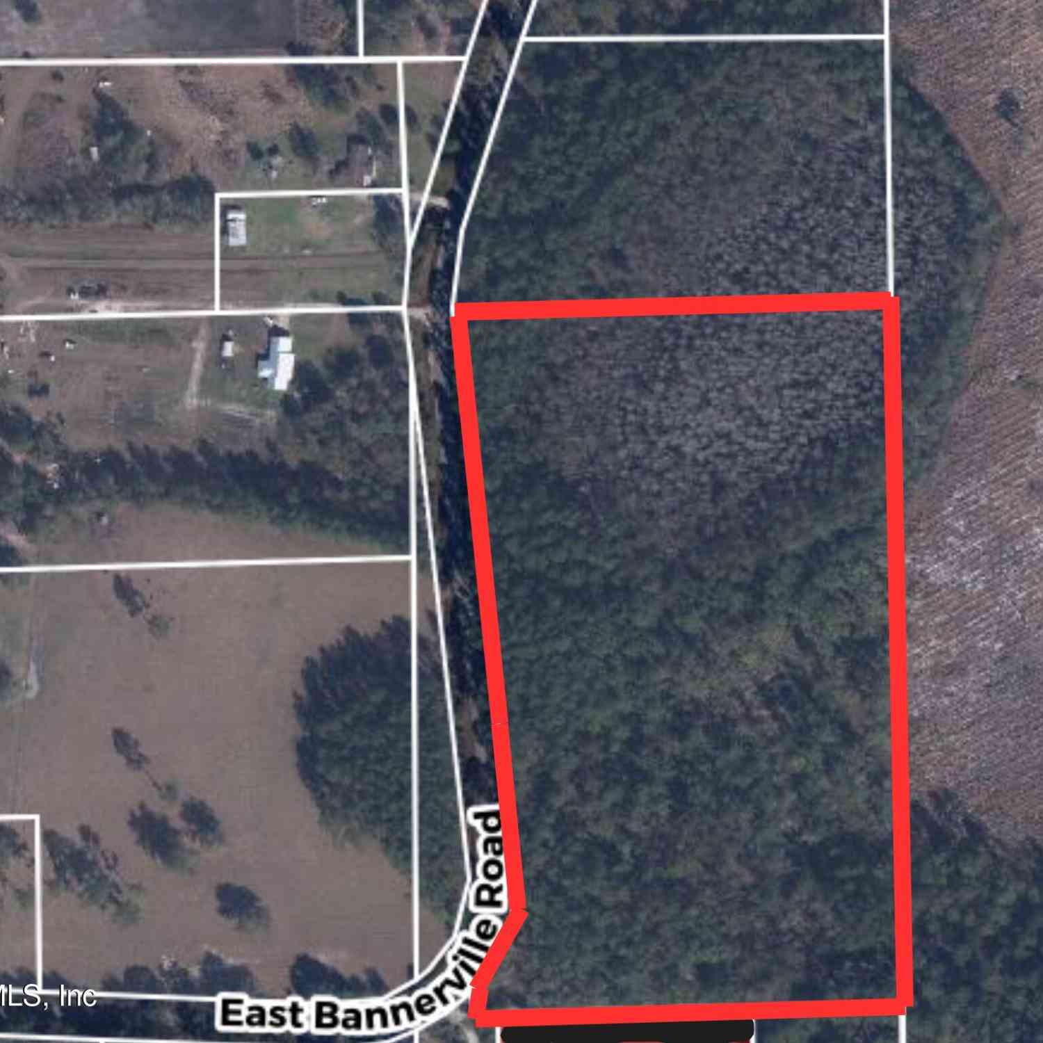 Vacant Land For Sale - TBD E Bannerville (12.49 Acres) Road<br/> Palatka, FL 32177