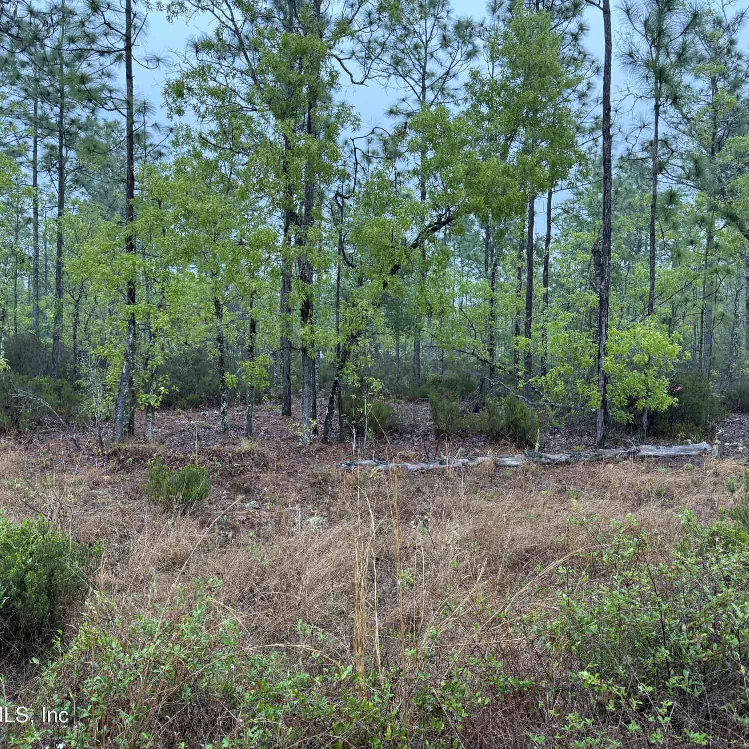 Vacant Land For Sale - Lots 32 + 33<br/> Interlachen, FL 32148