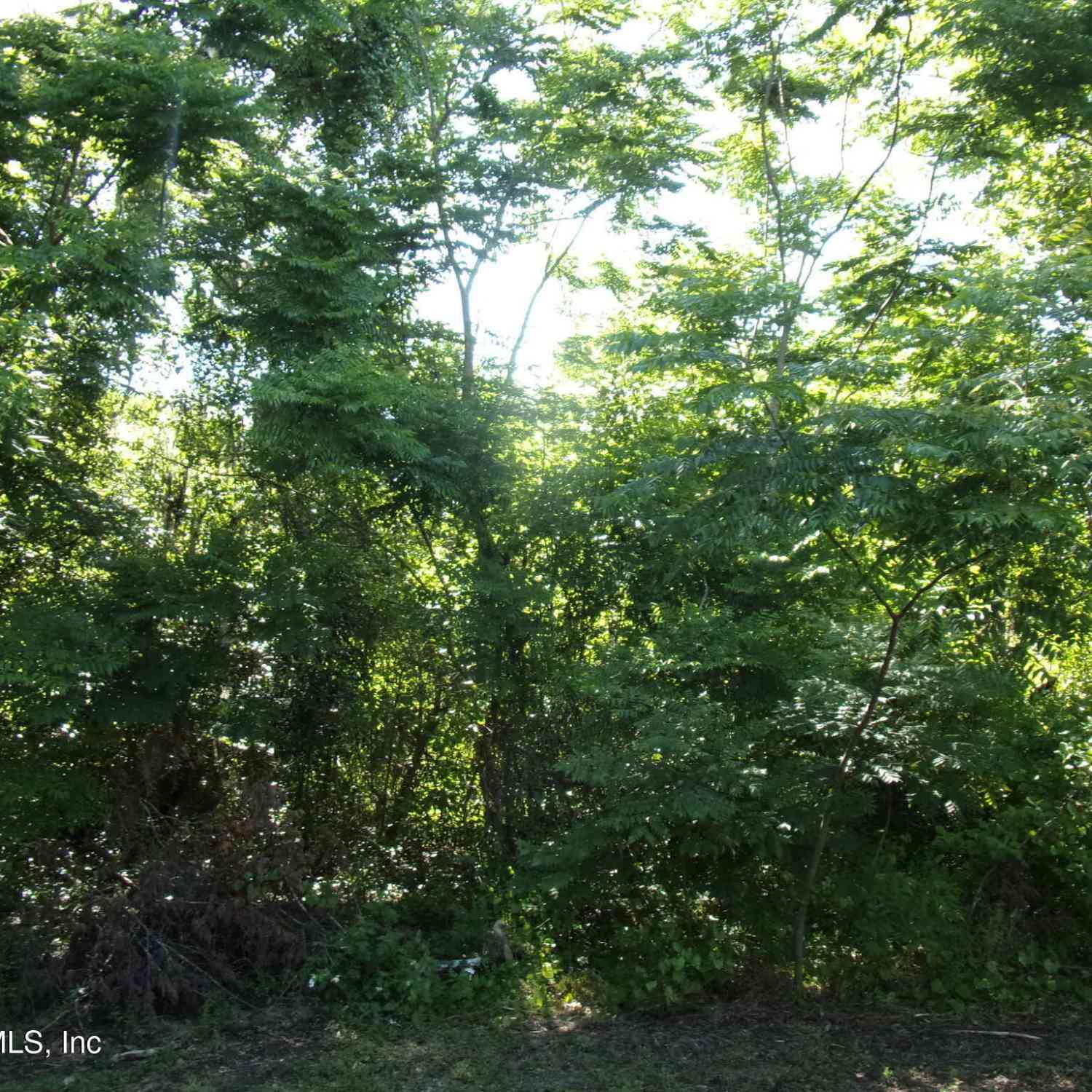 Vacant Land For Sale - 000 Edgemoor Trail<br/> Palatka, FL 32177
