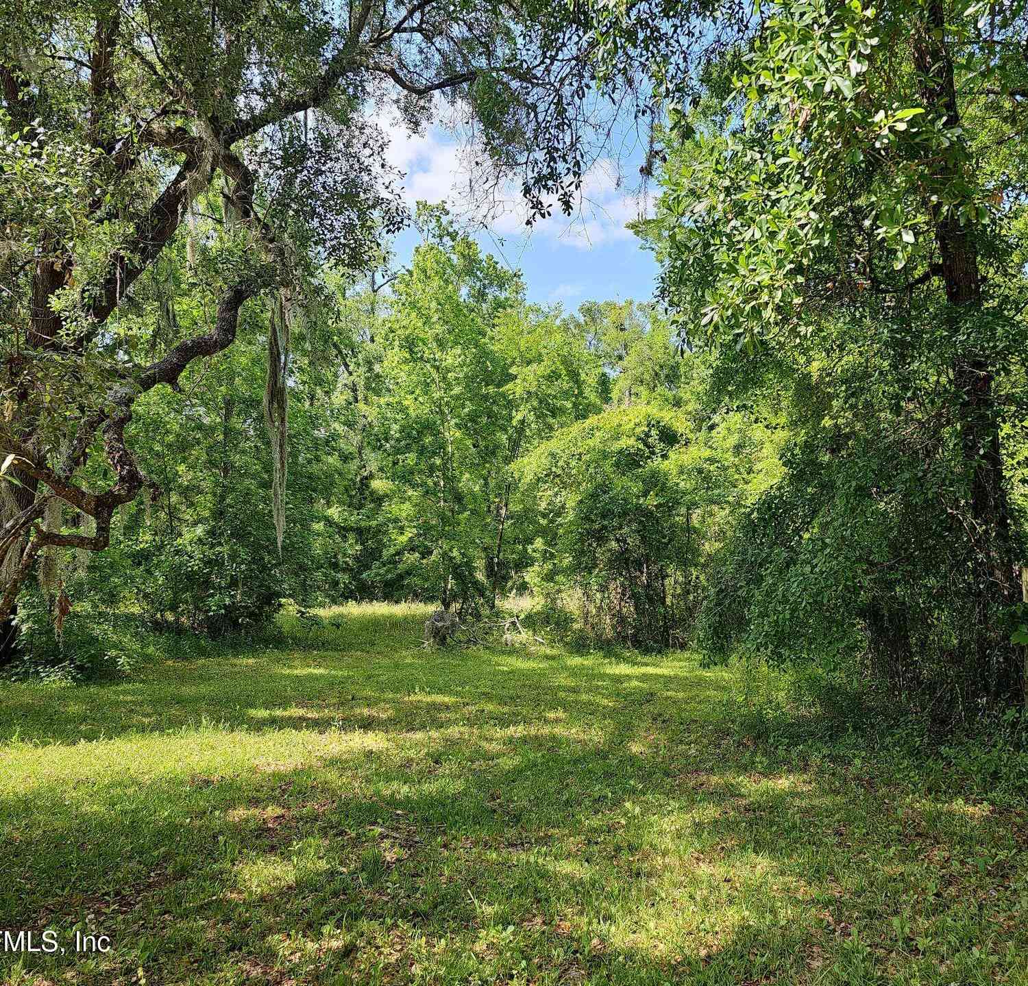 Vacant Land For Sale - 0000 Brickyard Road<br/> Middleburg, FL 32068