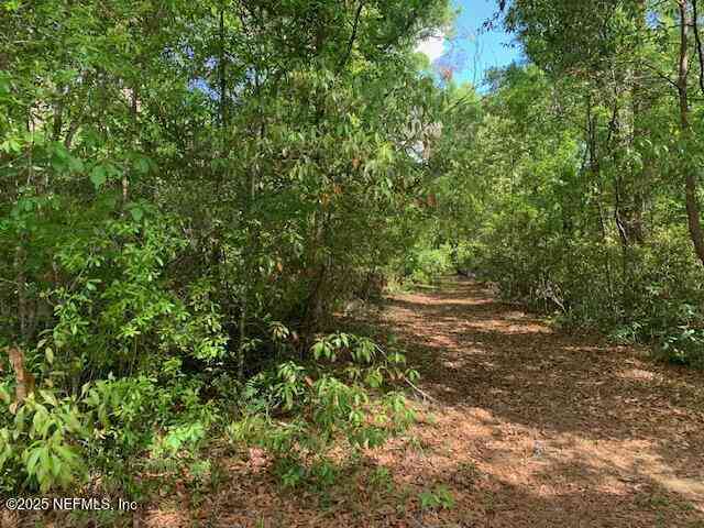 Vacant Land For Sale - 000 Dorothy Street<br/> Interlachen, FL 32148