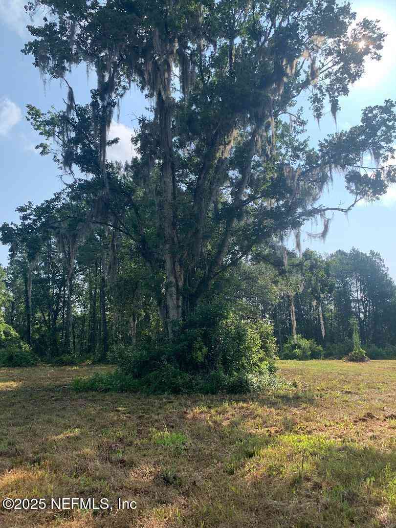 Vacant Land For Sale - 5181 County Road 218<br/> Middleburg, FL 32068