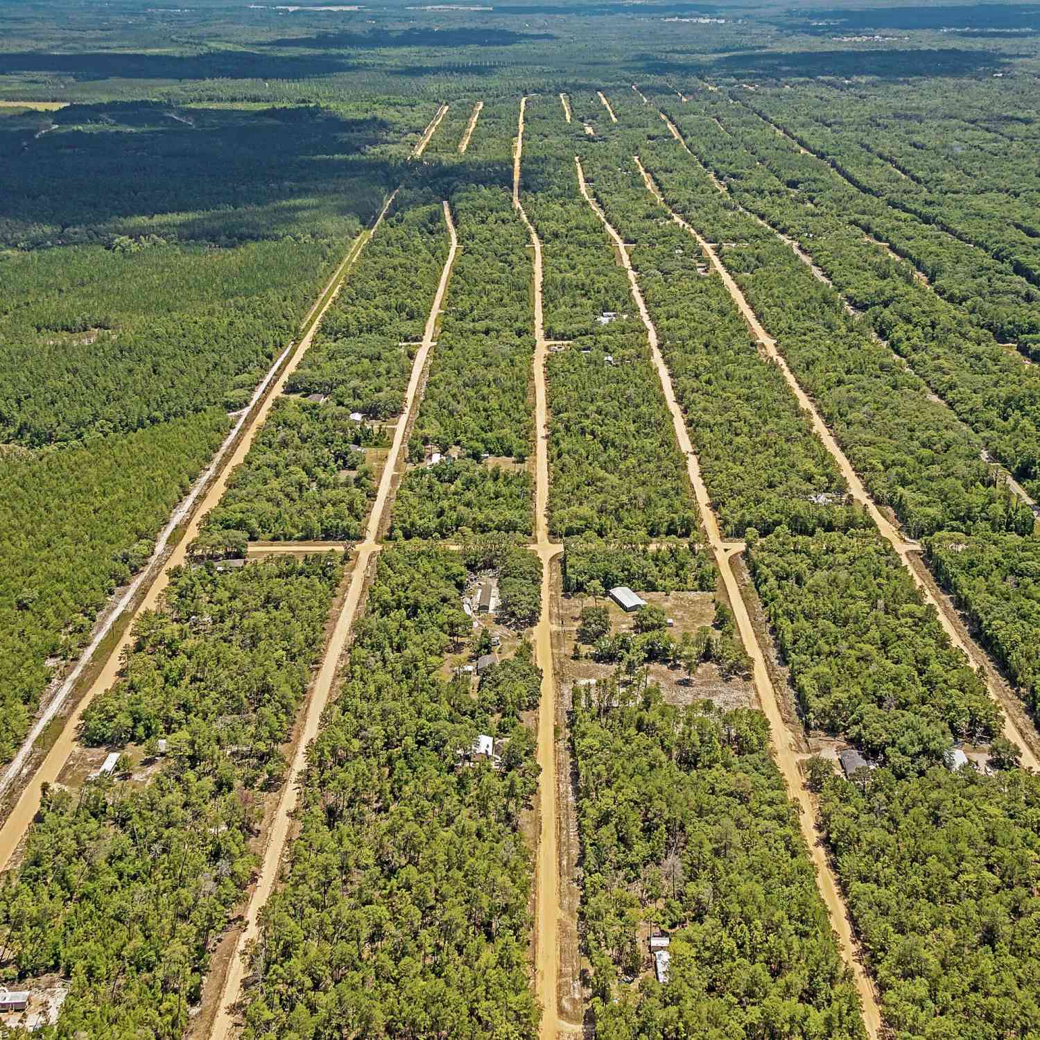 Vacant Land For Sale - BLK21LOT24 Creager Avenue<br/> Interlachen, FL 32148