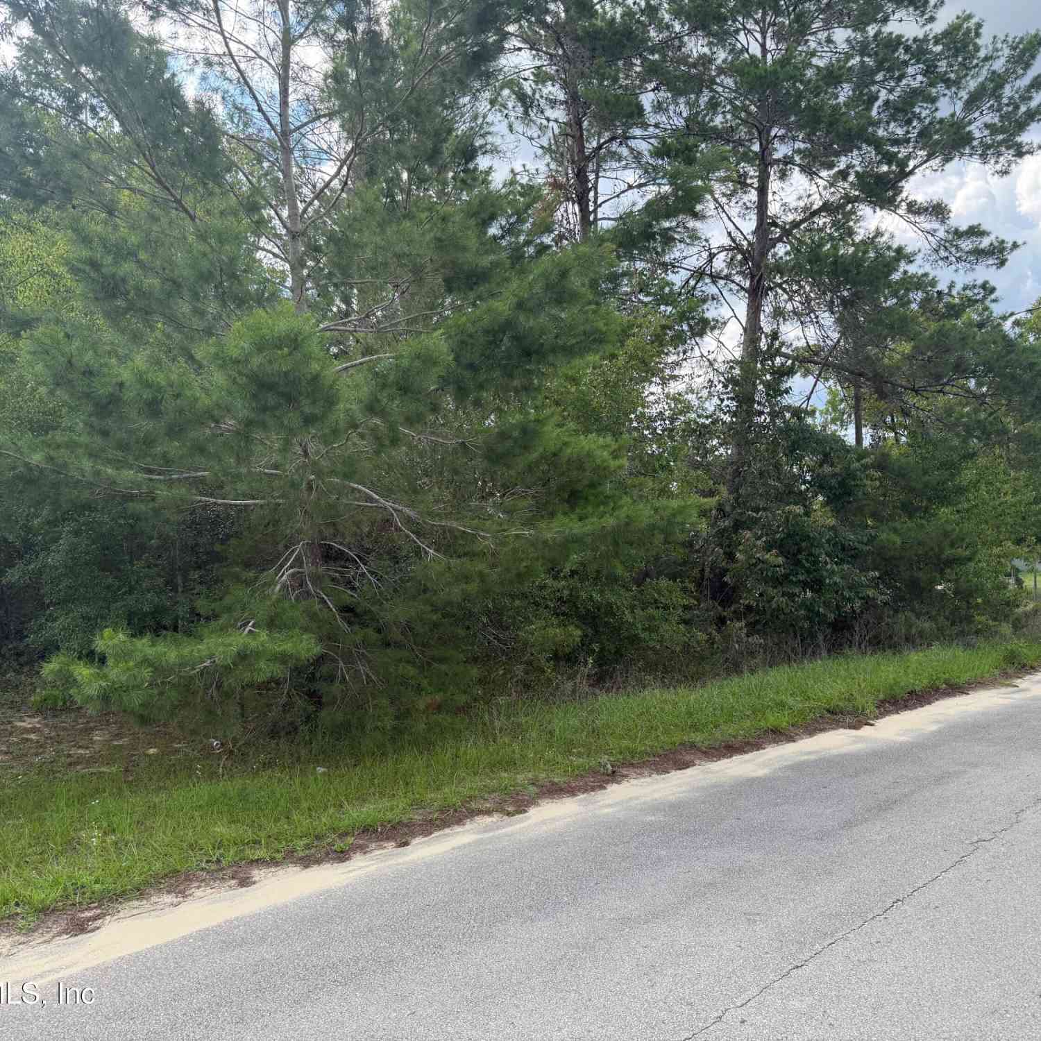 Vacant Land For Sale - 121 Istanbul Street<br/> Interlachen, FL 32148