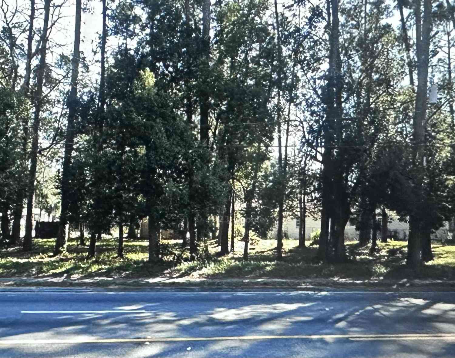 Vacant Land For Sale - Edgewood Avenue<br/> Jacksonville, FL 32208