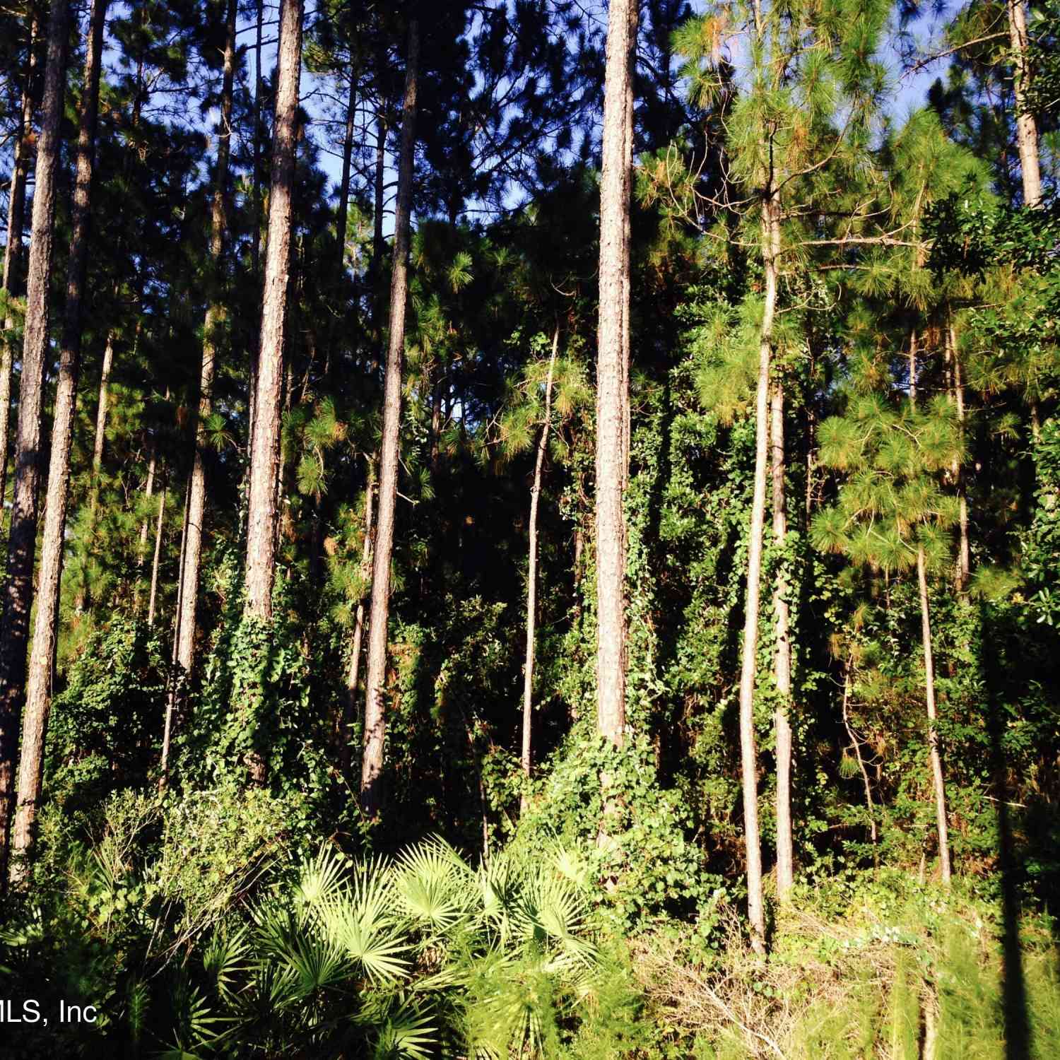 Vacant Land For Sale - Fawn Lake Drive<br/> Jacksonville, FL 32256