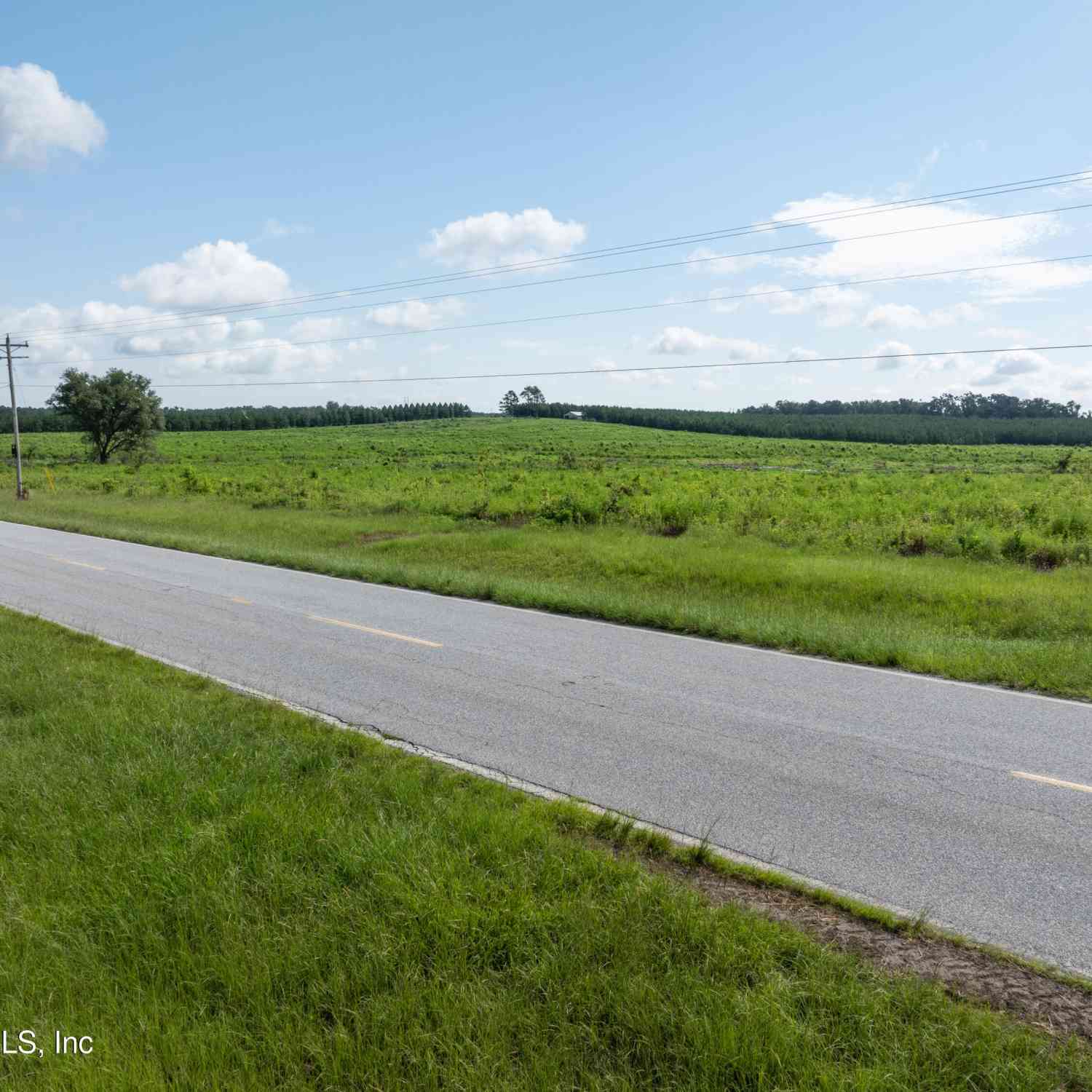 Vacant Land For Sale - 3500 NE Rocky Ford Road<br/> Madison County, Madison, FL 32340