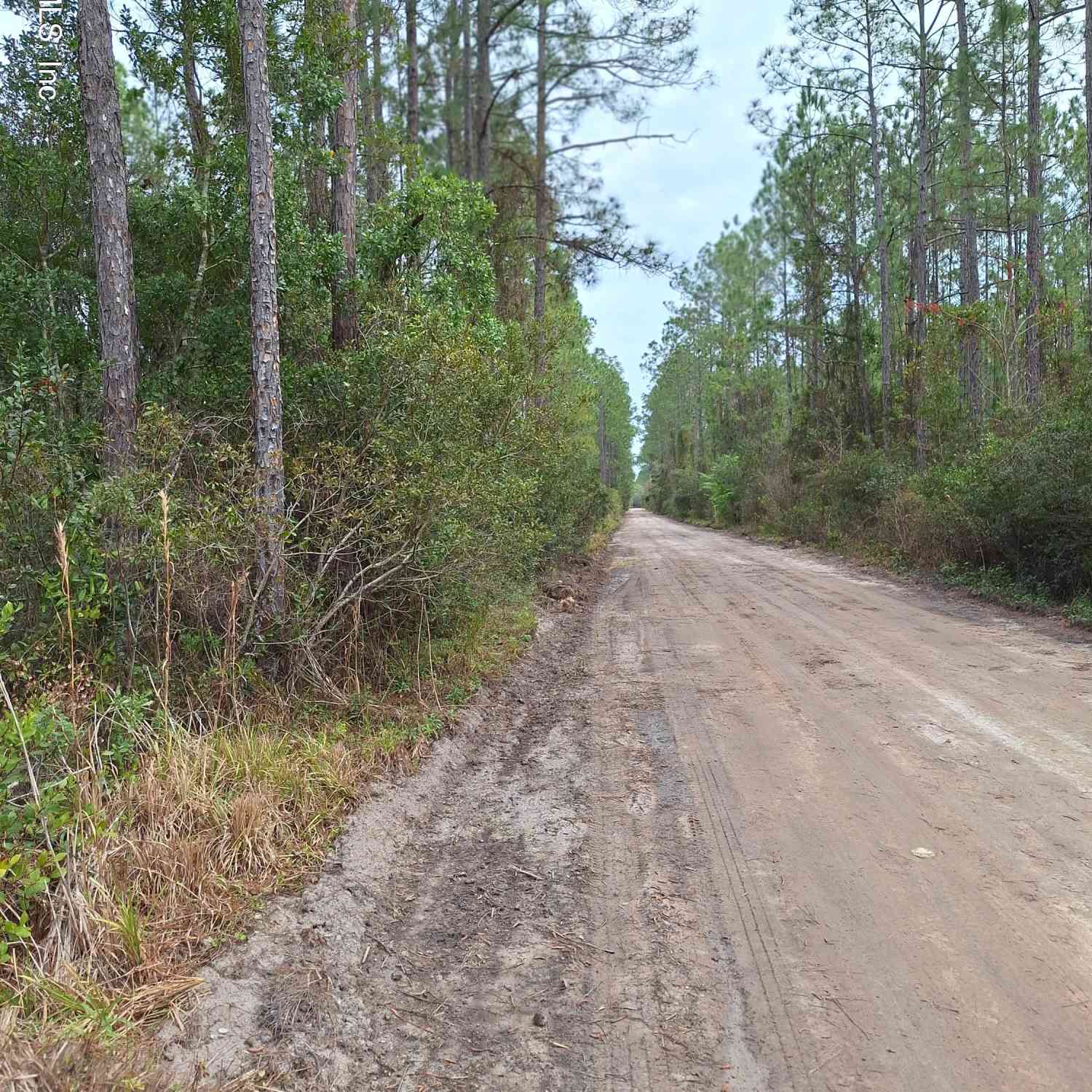 Vacant Land For Sale - E San Jose<br/> Palatka, FL 32177