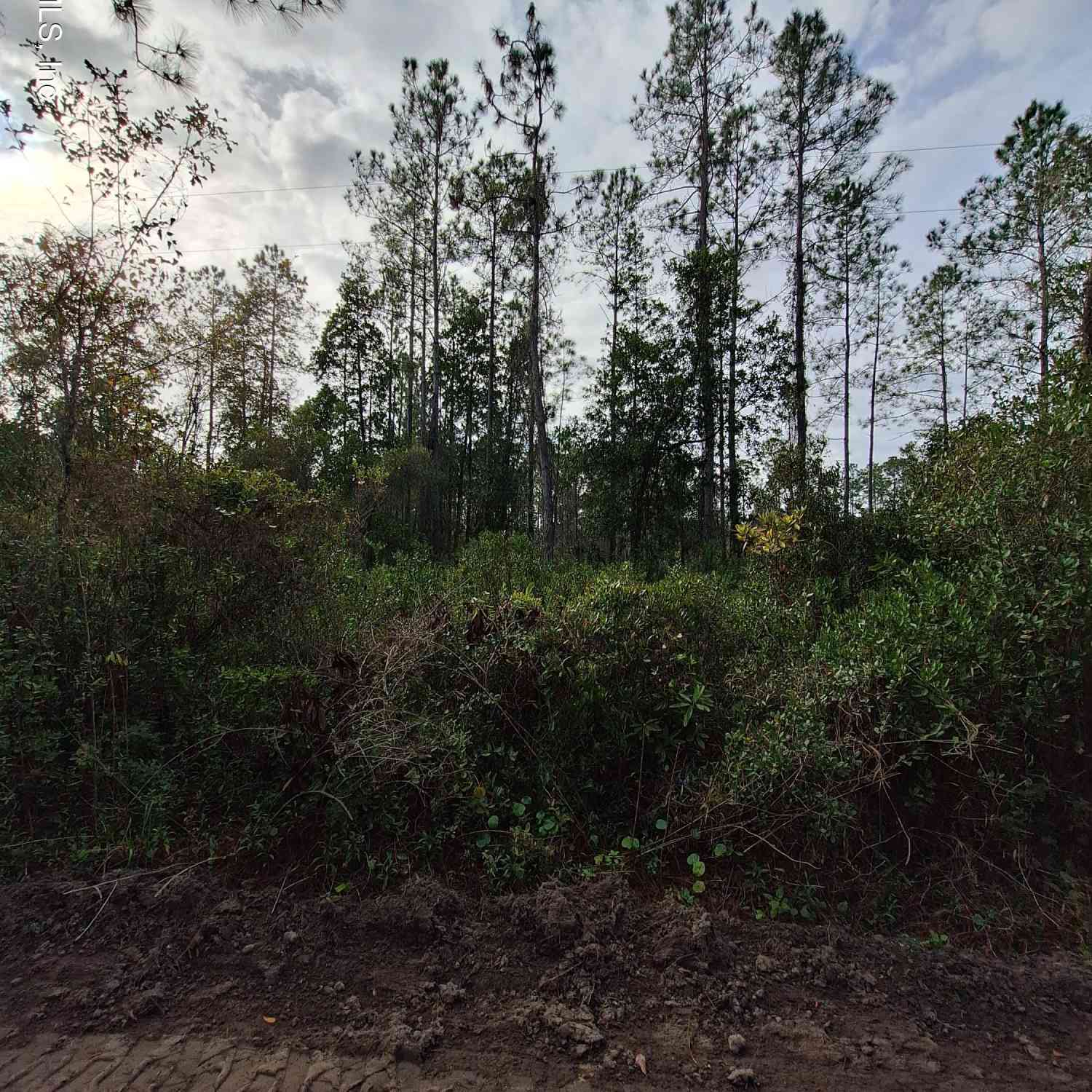 Vacant Land For Sale - E St Johns Street<br/> Palatka, FL 32177