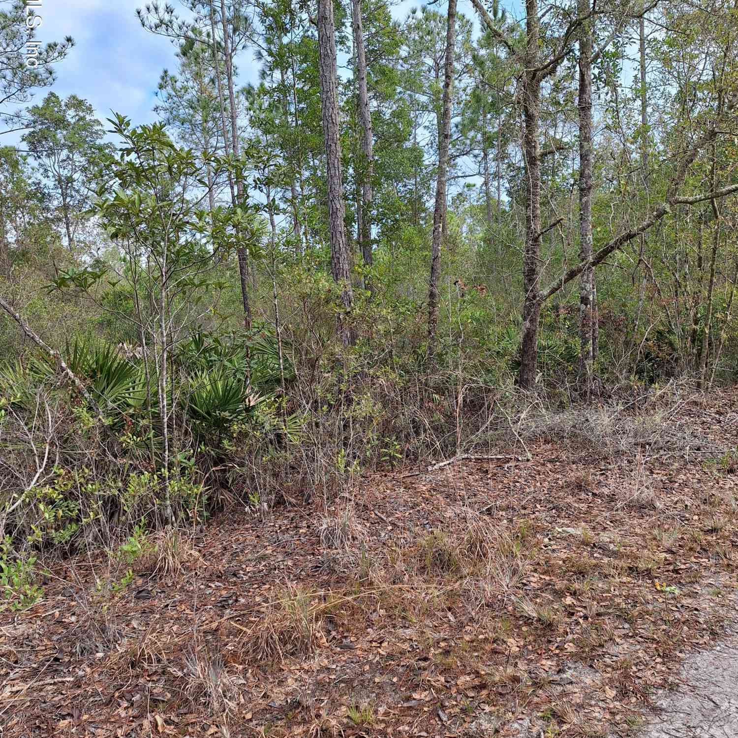 Vacant Land For Sale - 00 E St Johns State Road<br/> Palatka, FL 32177