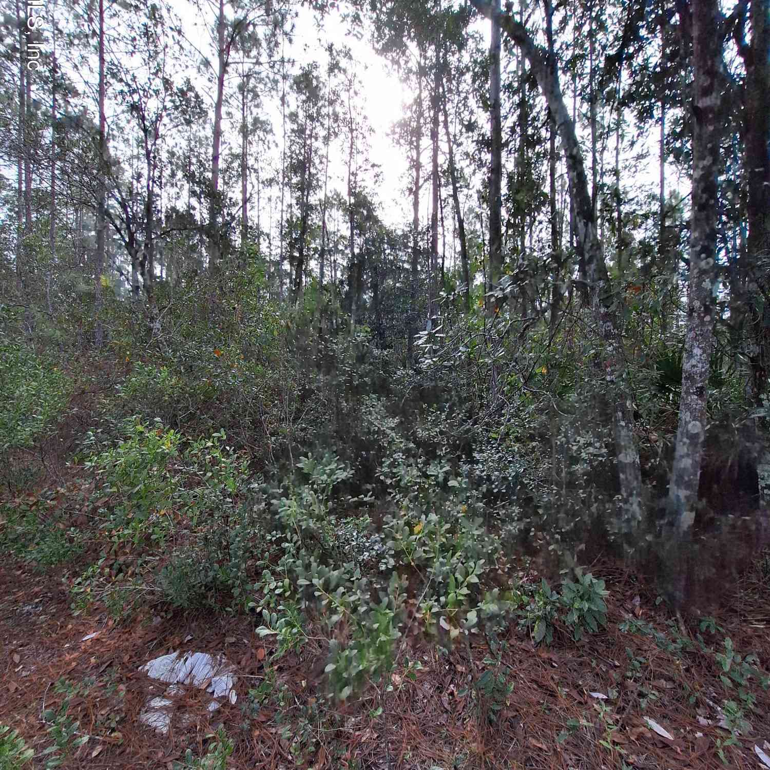 Vacant Land For Sale - 000 E St Johns Street<br/> Palatka, FL 32177