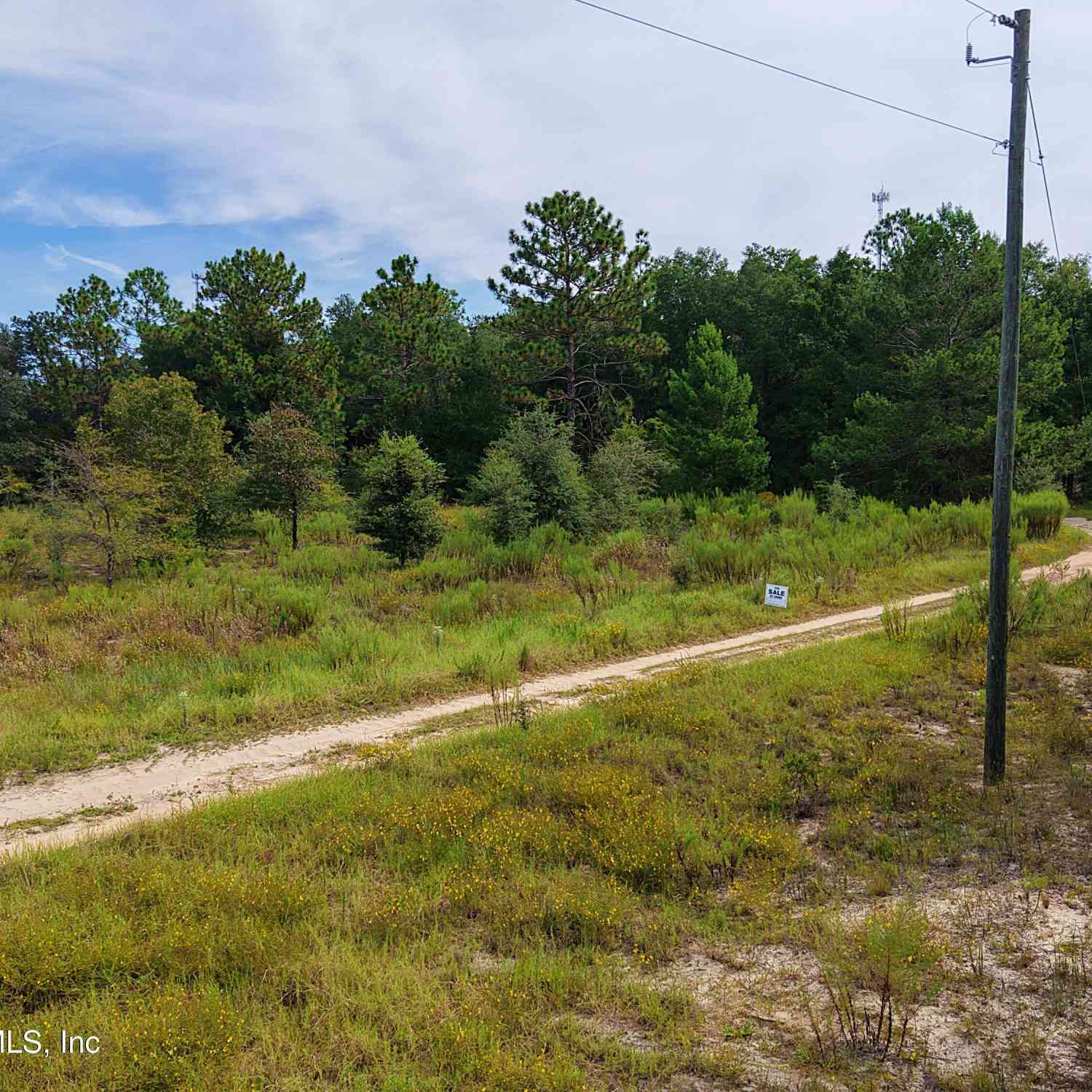 Vacant Land For Sale - 347 Chesser Monroe Road<br/> Heathrow, FL 32640