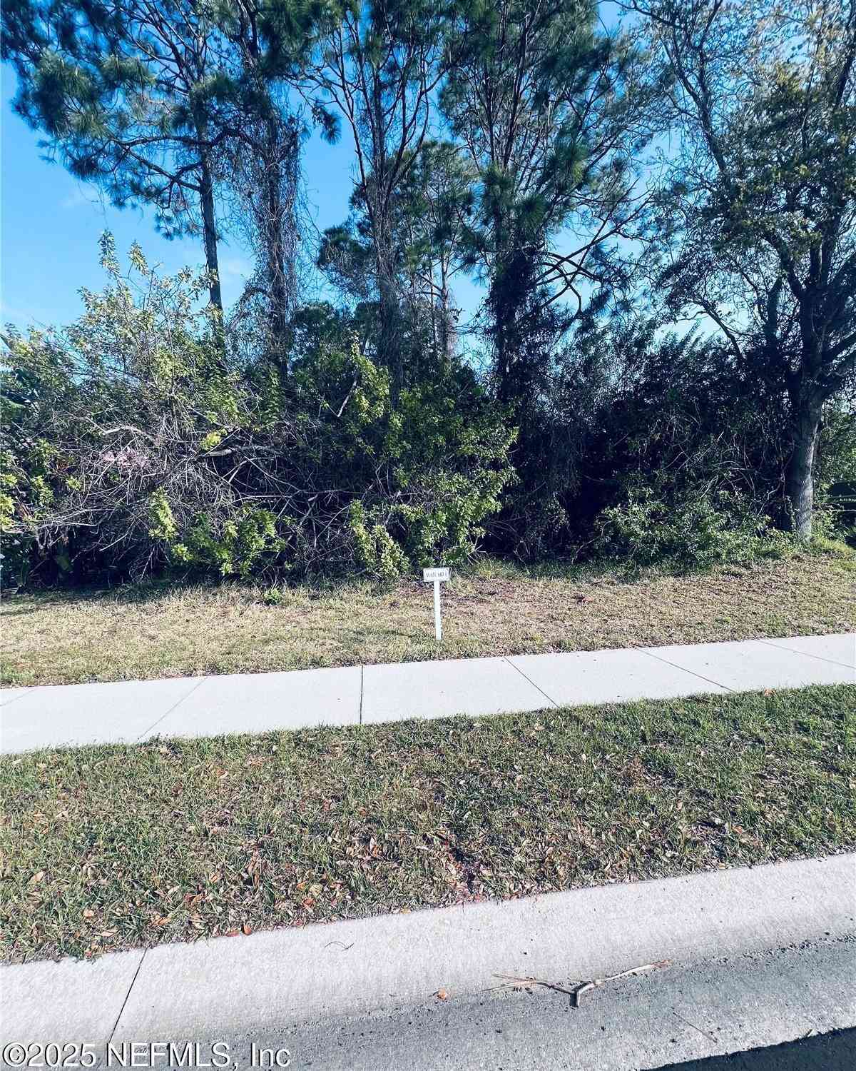 Vacant Land For Sale - 91 Emerald Lake Drive<br/> Palm Coast, FL 32137