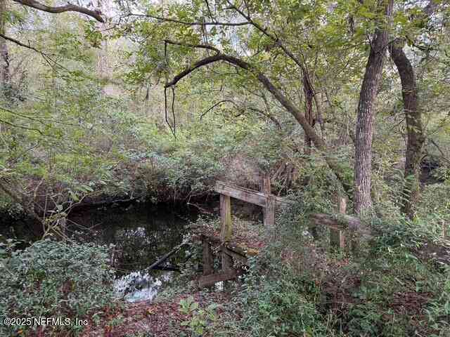 Vacant Land For Sale - Skipper Road<br/> Middleburg, FL 32068